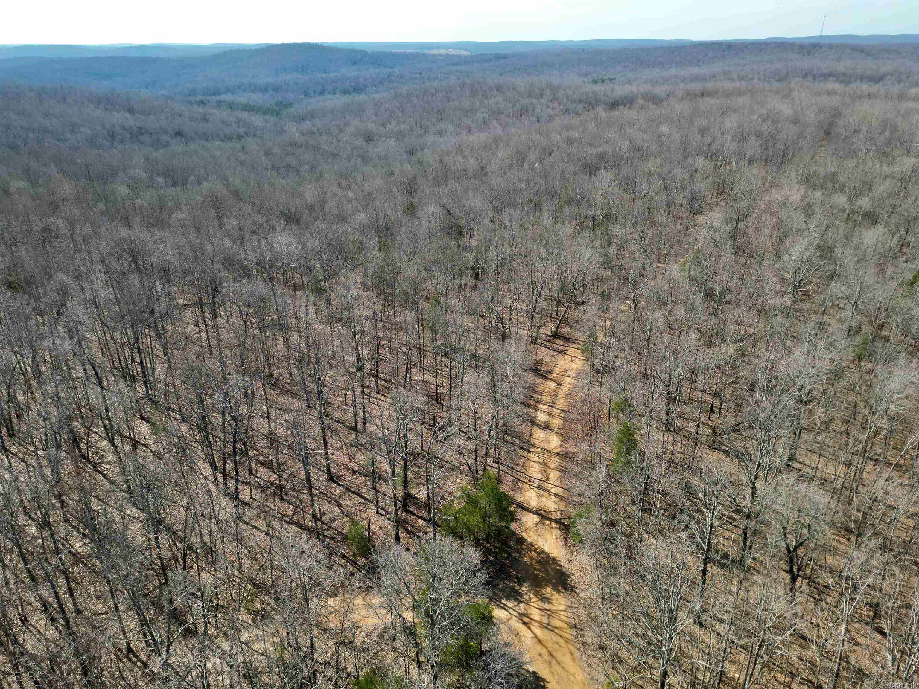 TBD  Newman Trail  Williford, AR