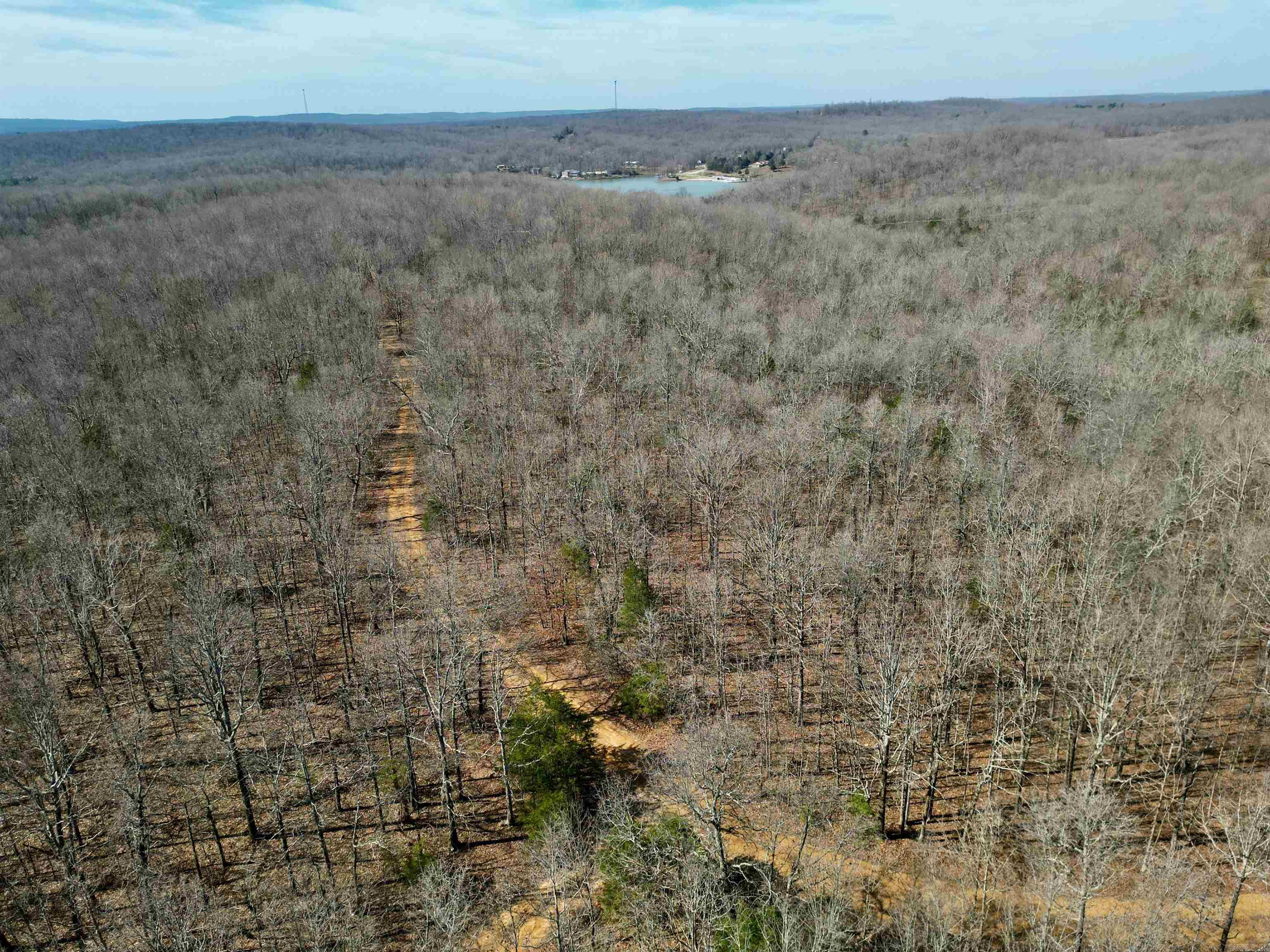 TBD  Newman Trail  Williford, AR