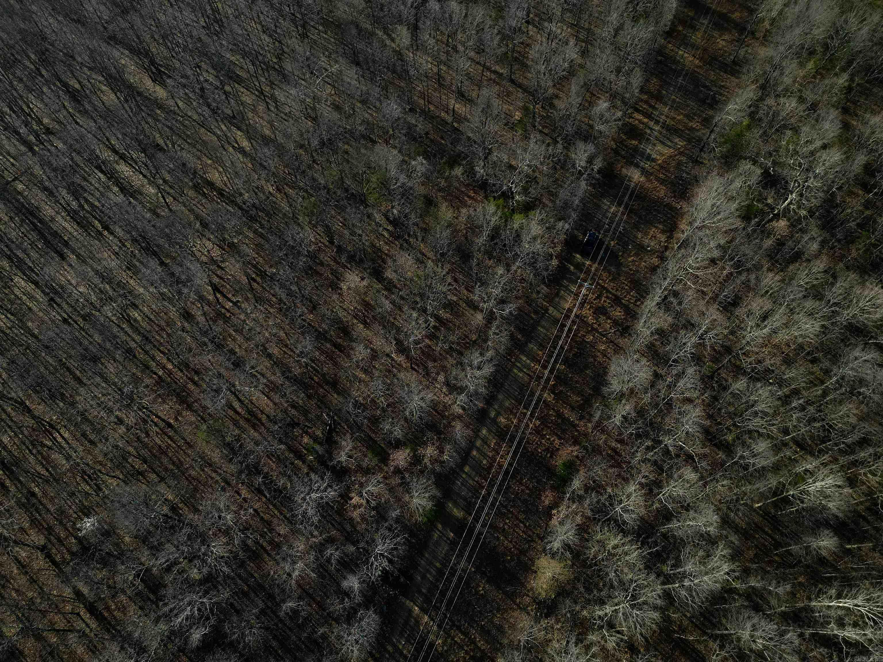 TBD  Newman Trail  Williford, AR