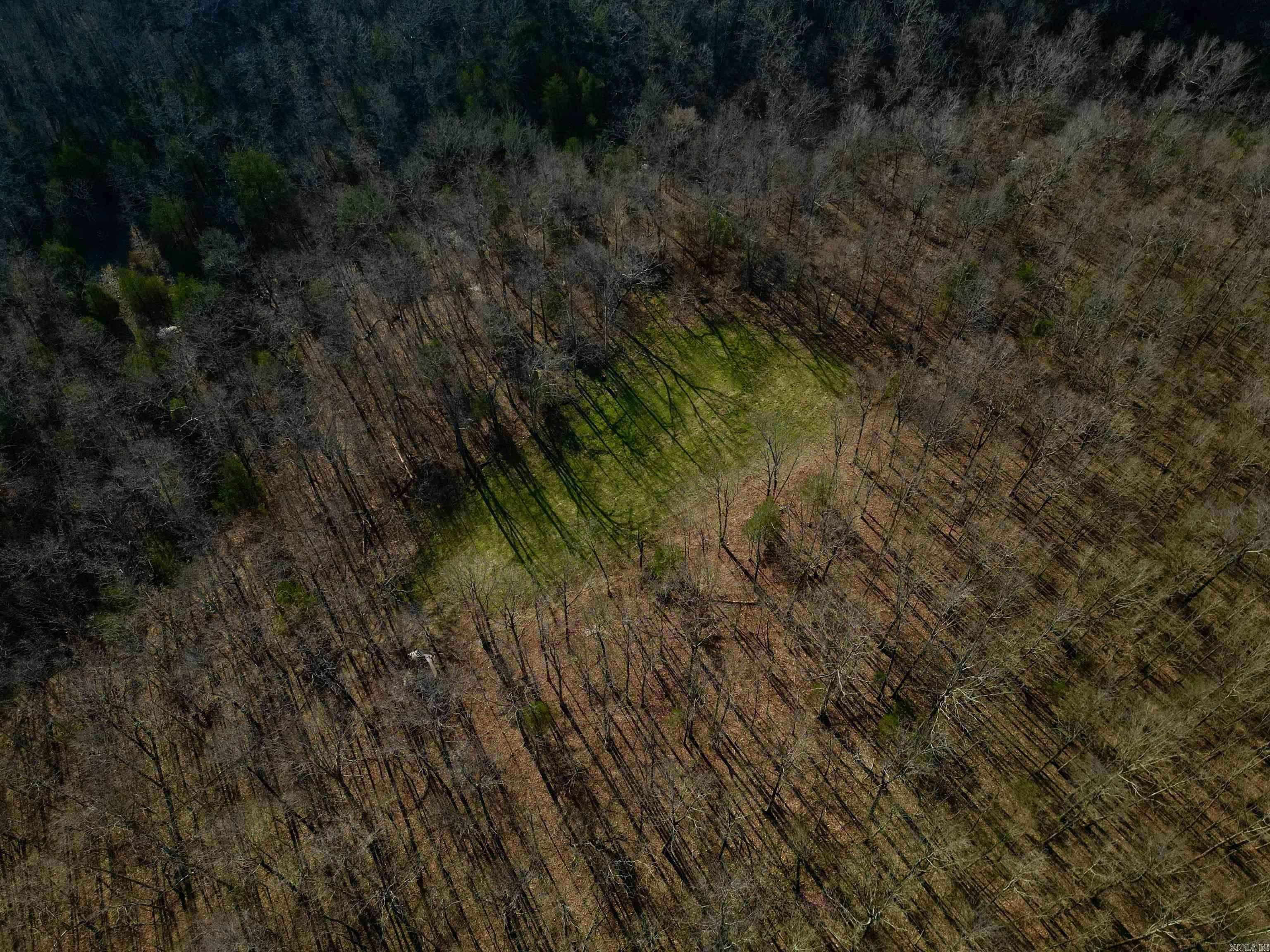 TBD  Newman Trail  Williford, AR