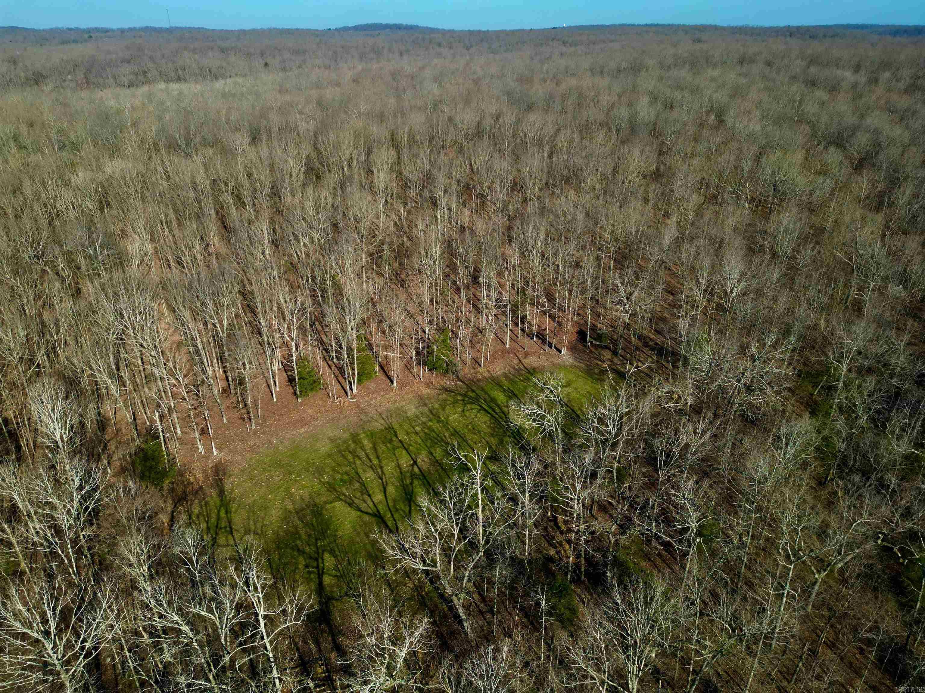 TBD  Newman Trail  Williford, AR