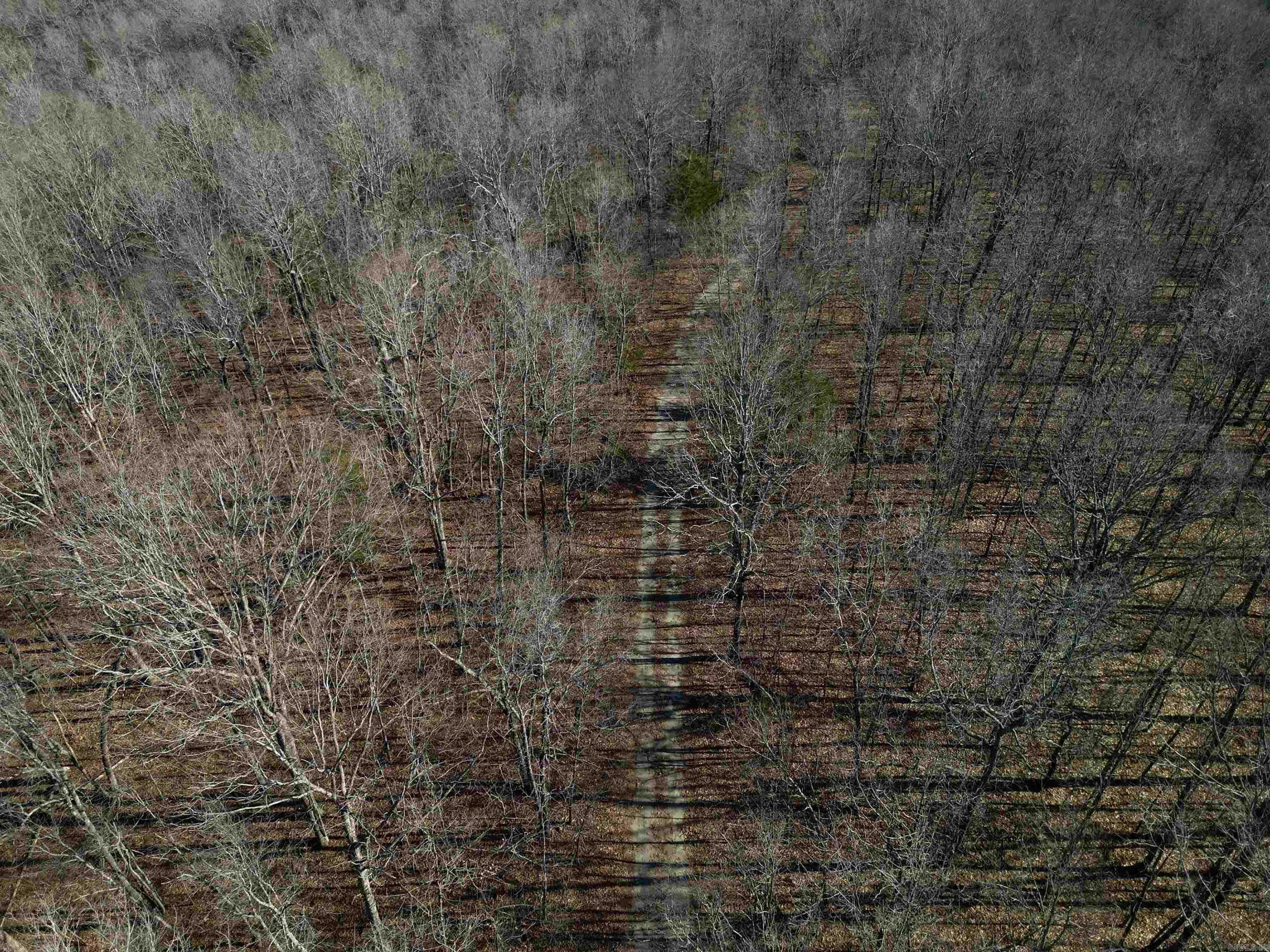 TBD  Newman Trail  Williford, AR
