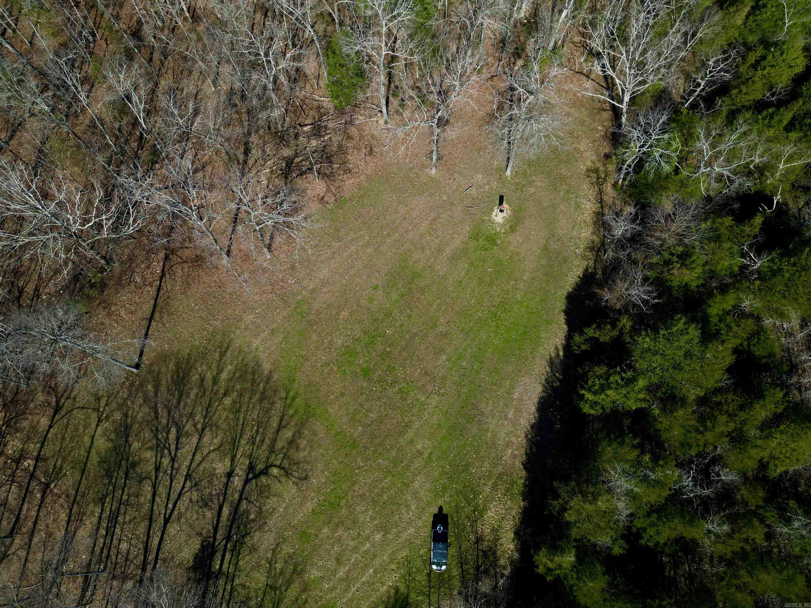 TBD  Newman Trail  Williford, AR