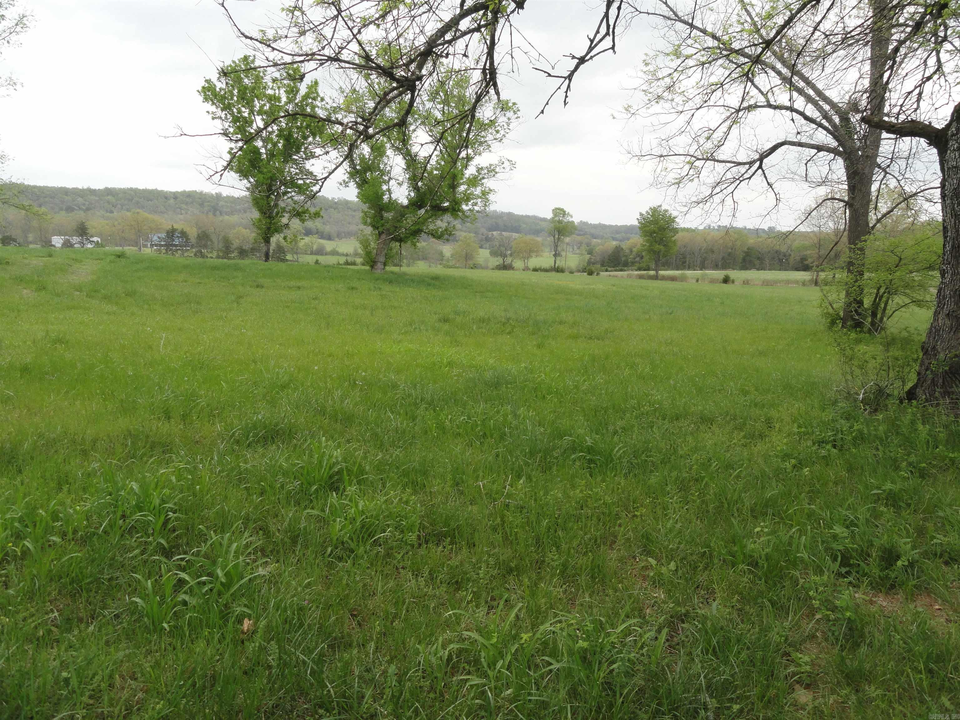 151 White Star Lane Saint Joe, AR 72675