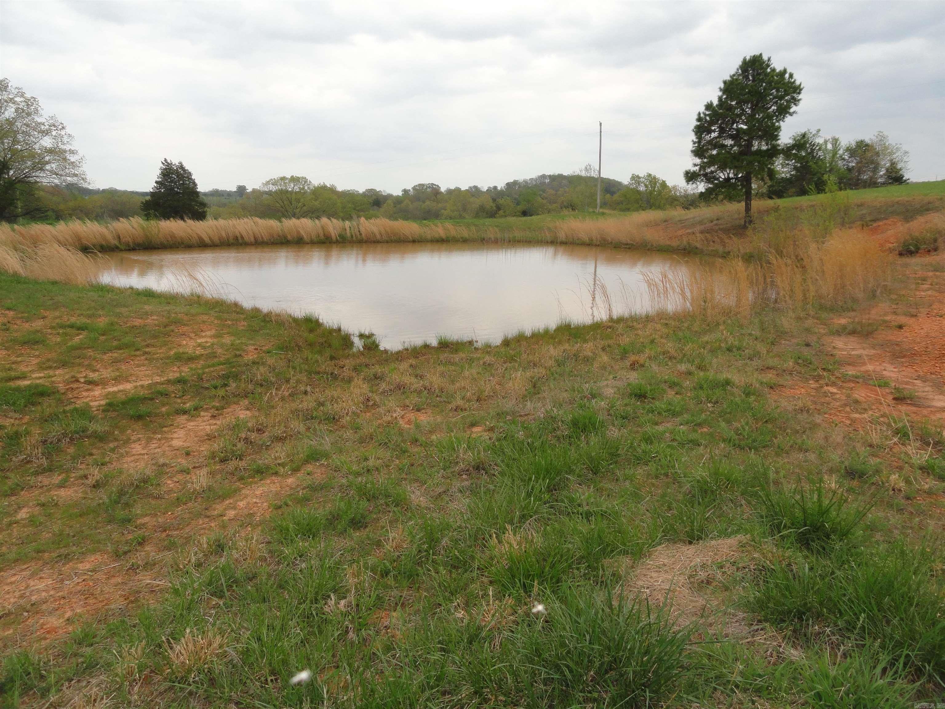 151 White Star Lane Saint Joe, AR 72675