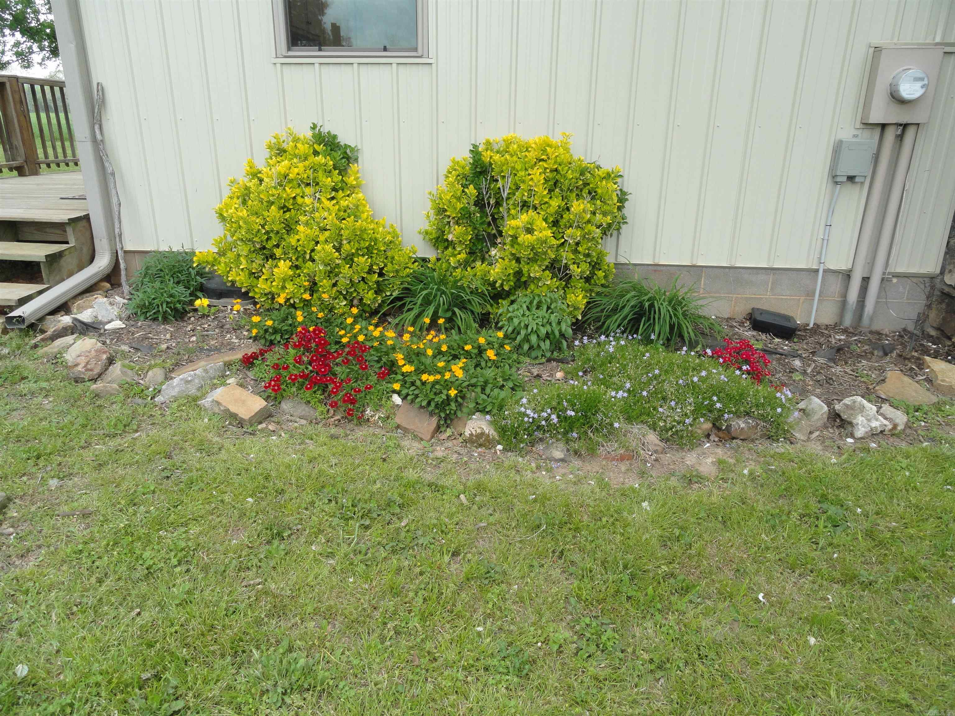 151 White Star Lane Saint Joe, AR 72675
