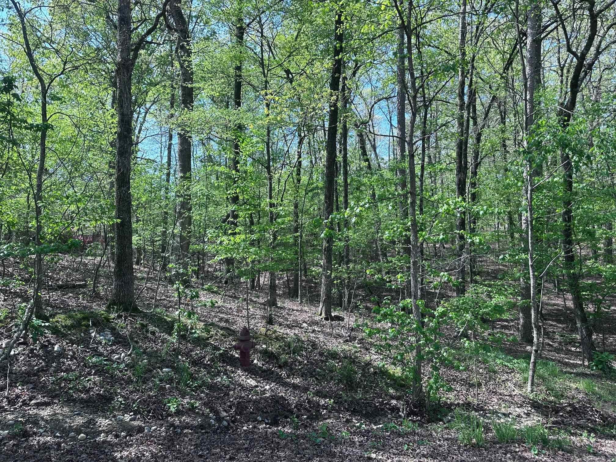 47  Rubi Circle  Hot Springs Village, AR
