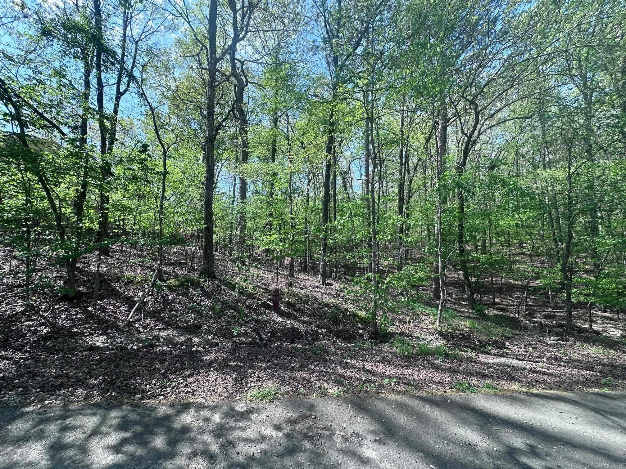 47  Rubi Circle  Hot Springs Village, AR