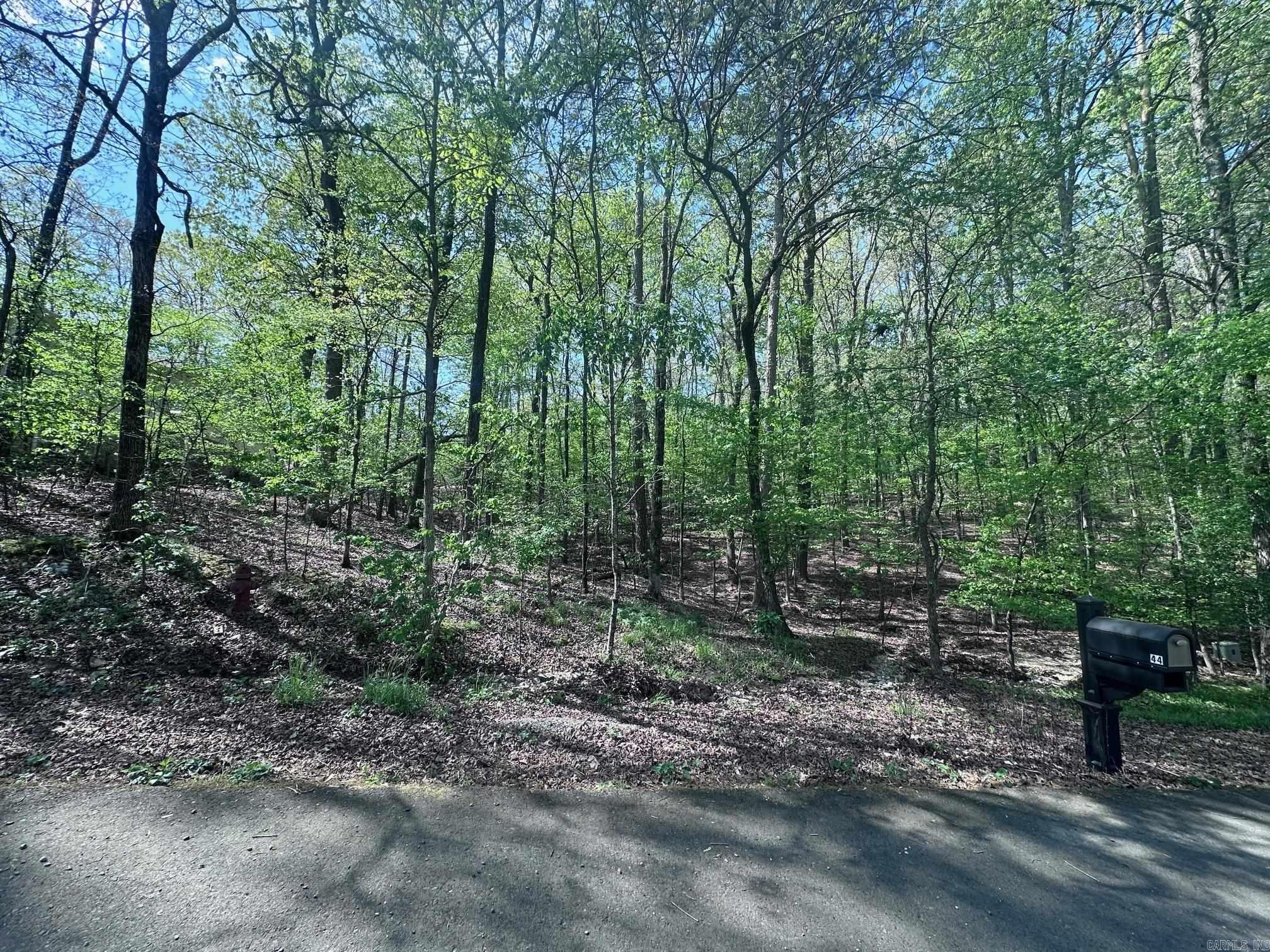 47  Rubi Circle  Hot Springs Village, AR
