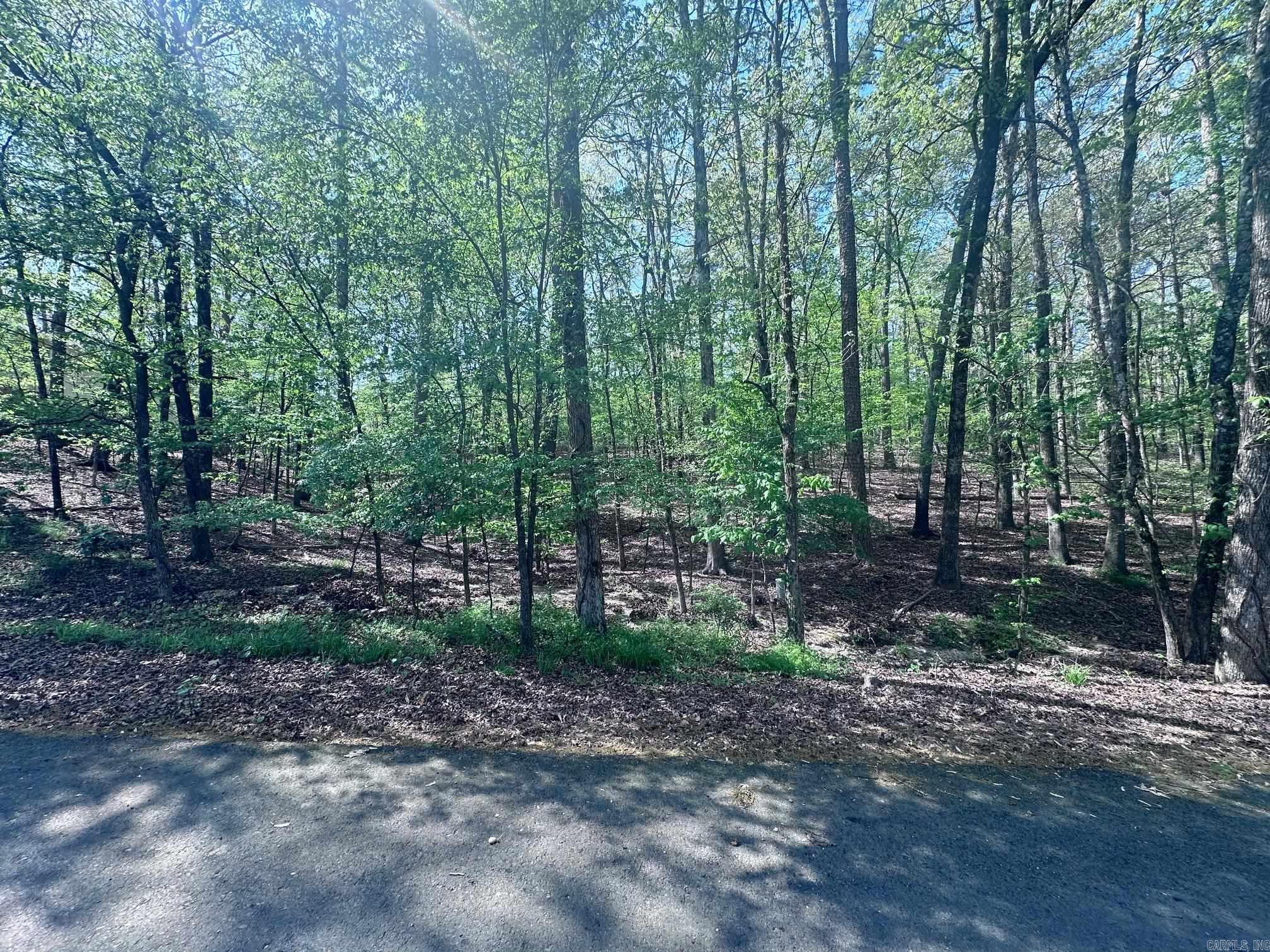 47  Rubi Circle  Hot Springs Village, AR