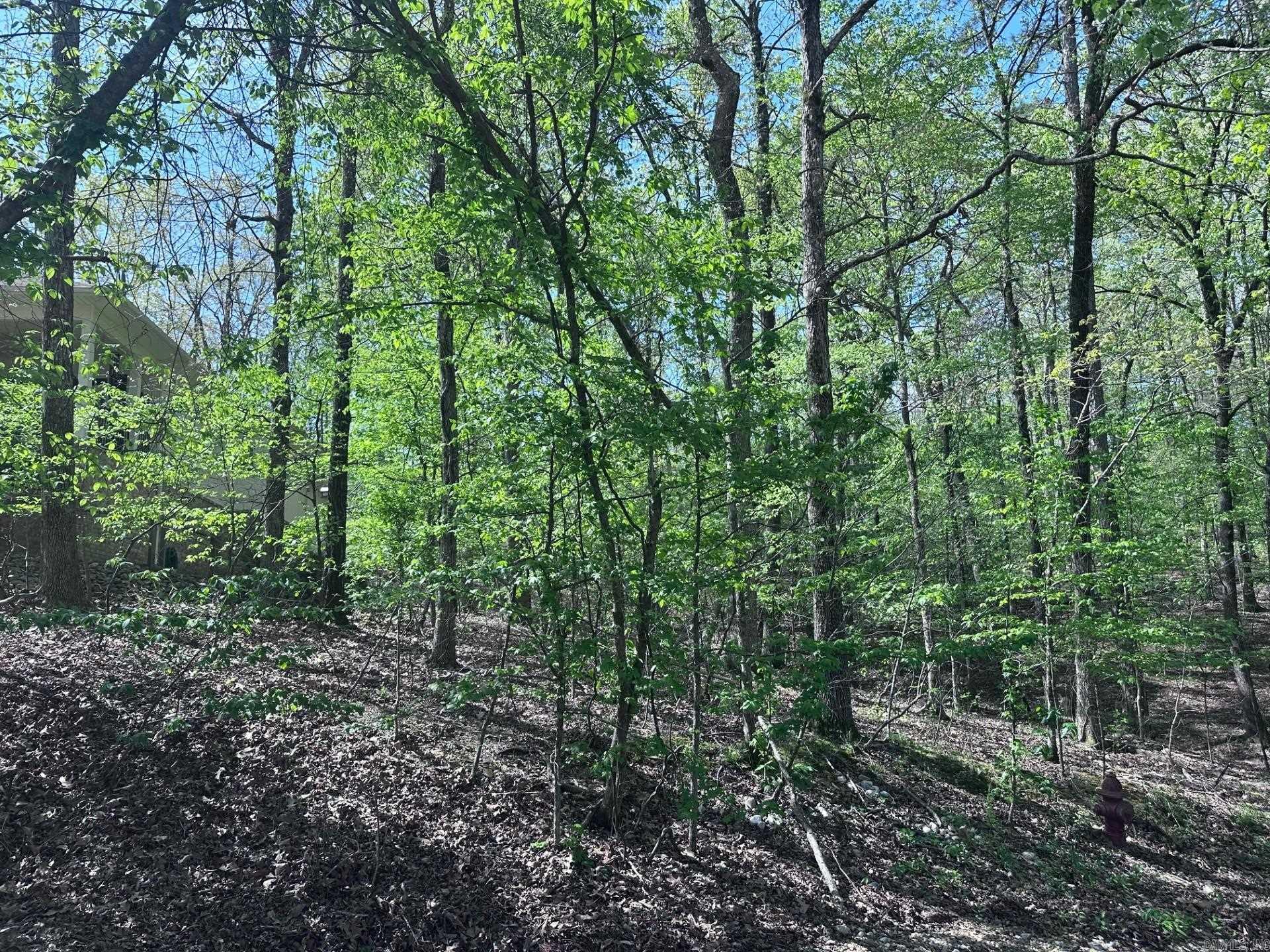 47  Rubi Circle  Hot Springs Village, AR