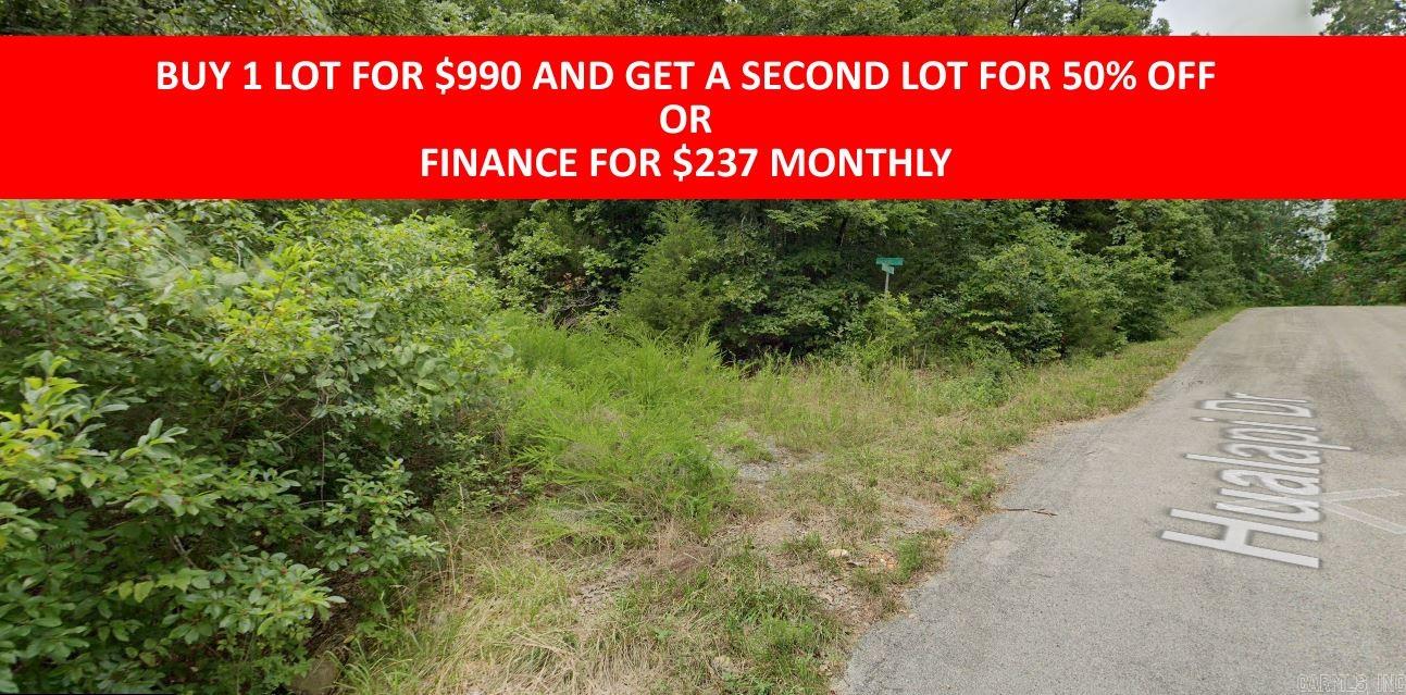 0  Salinar  Cherokee Village, AR