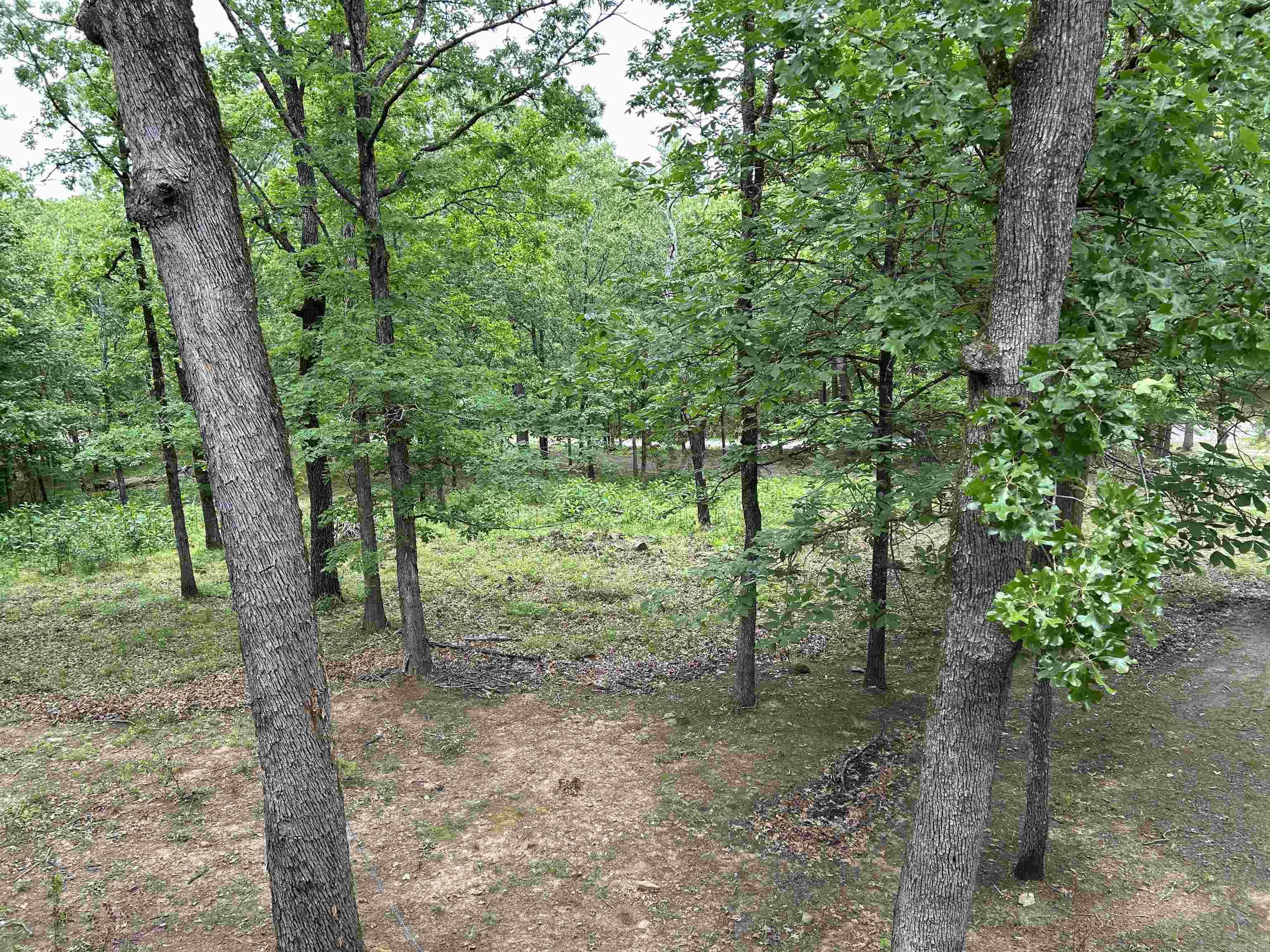16  Pinecrest  Conway, AR