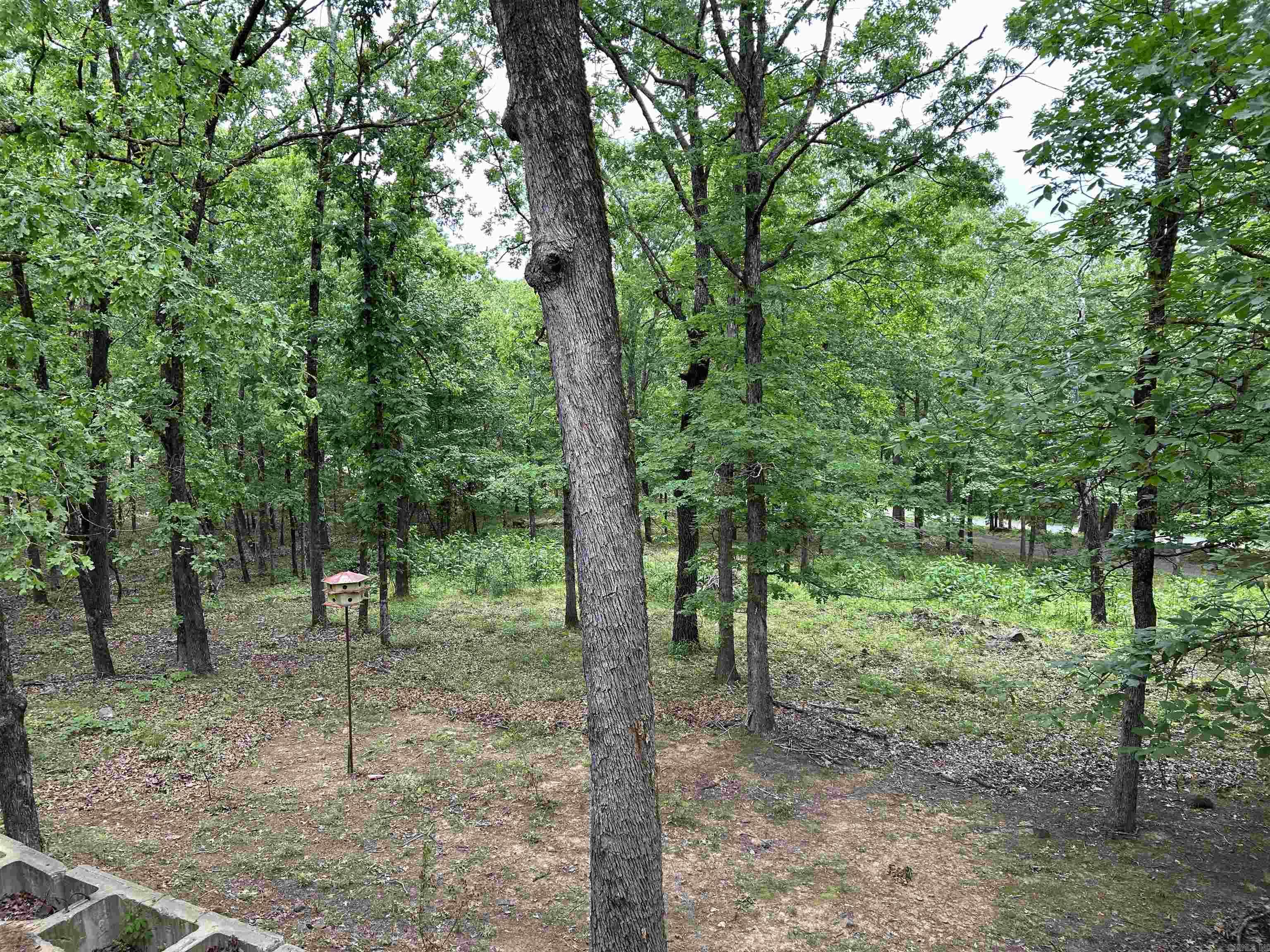16 Pinecrest Court Conway, AR 72032