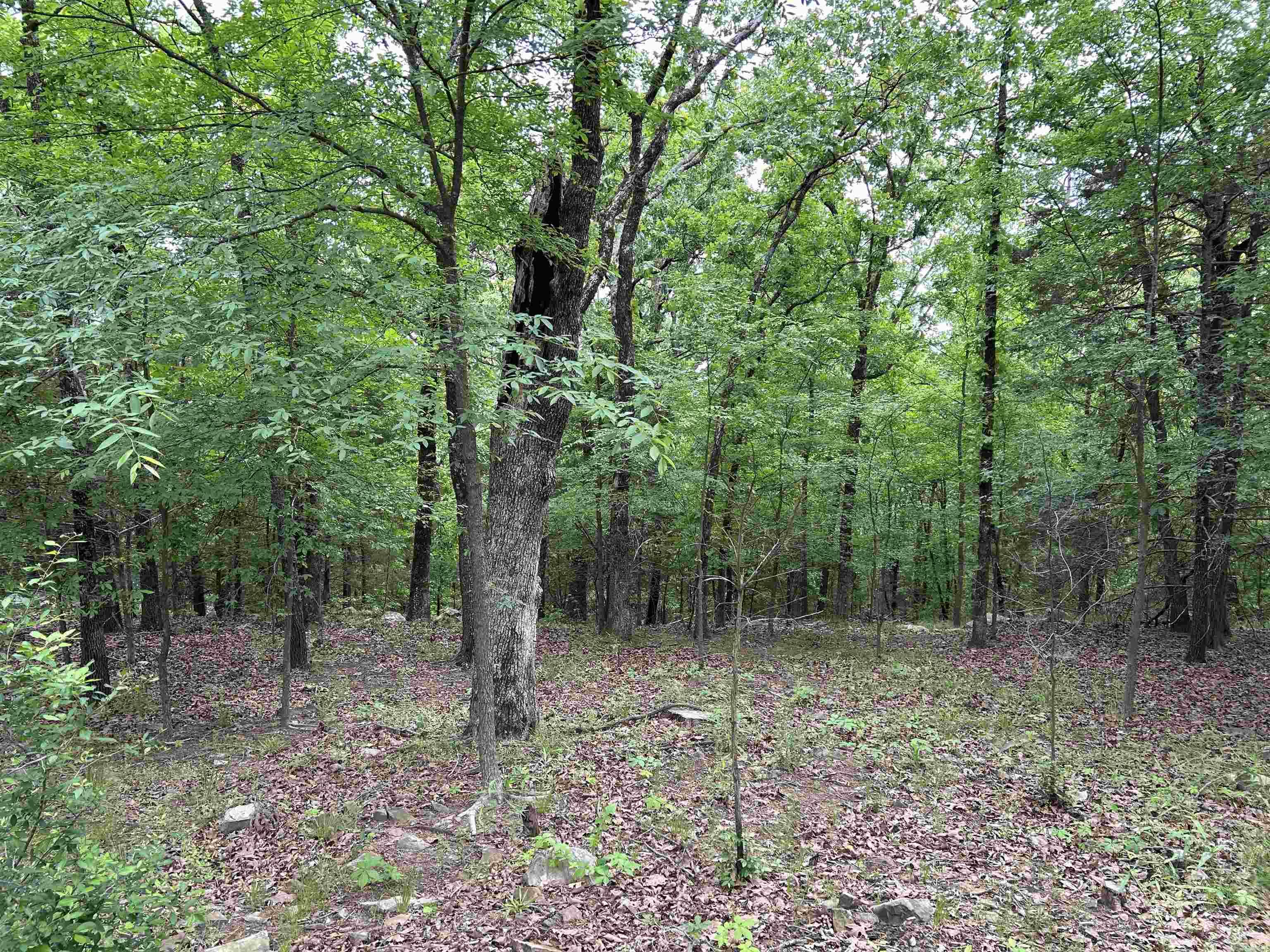16  Pinecrest  Conway, AR