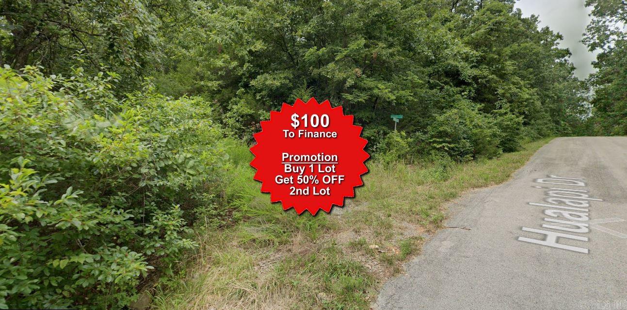 Lot 10 Salinar  Cherokee Village, AR