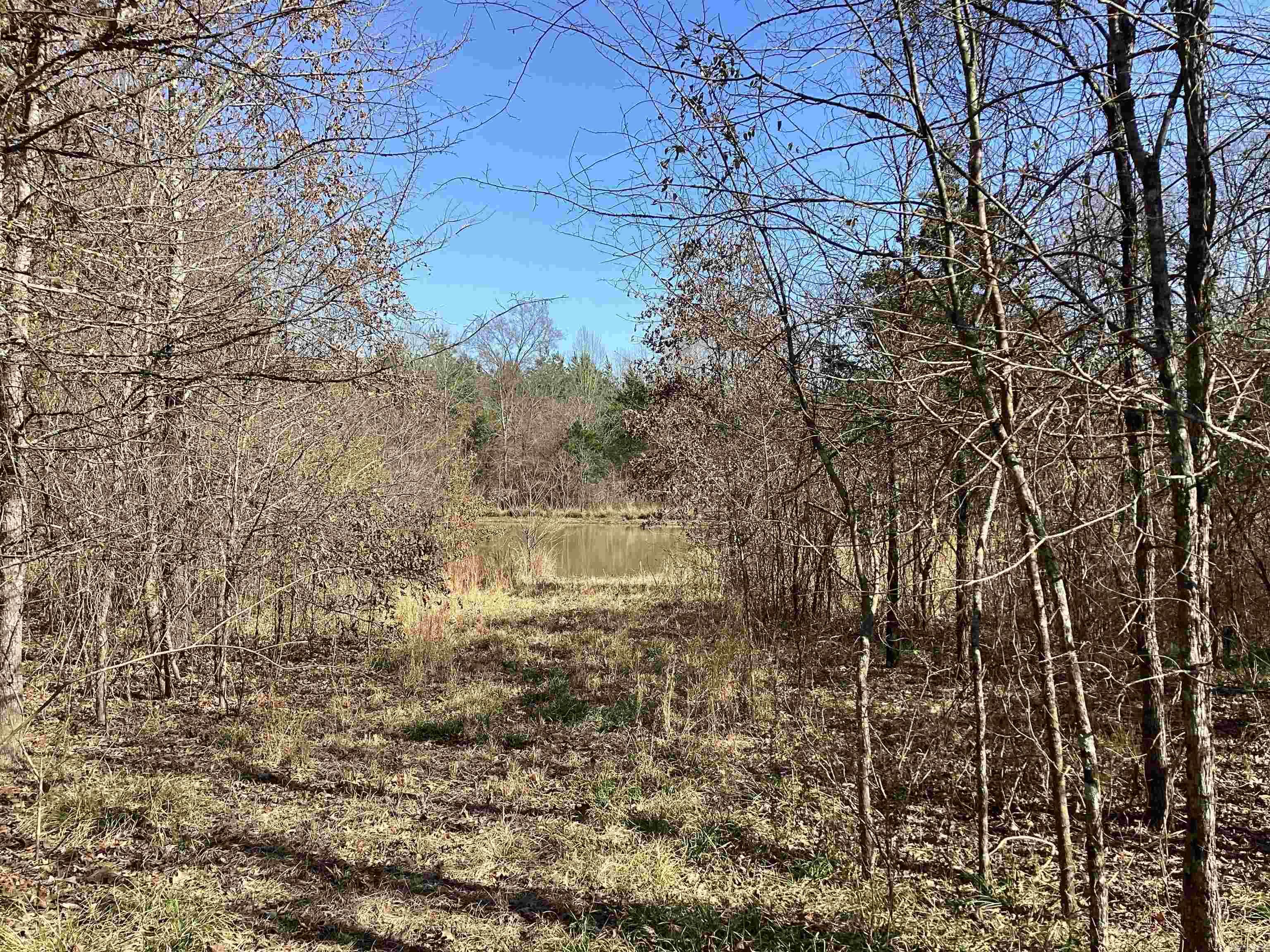   West Ave E.  Hope, AR
