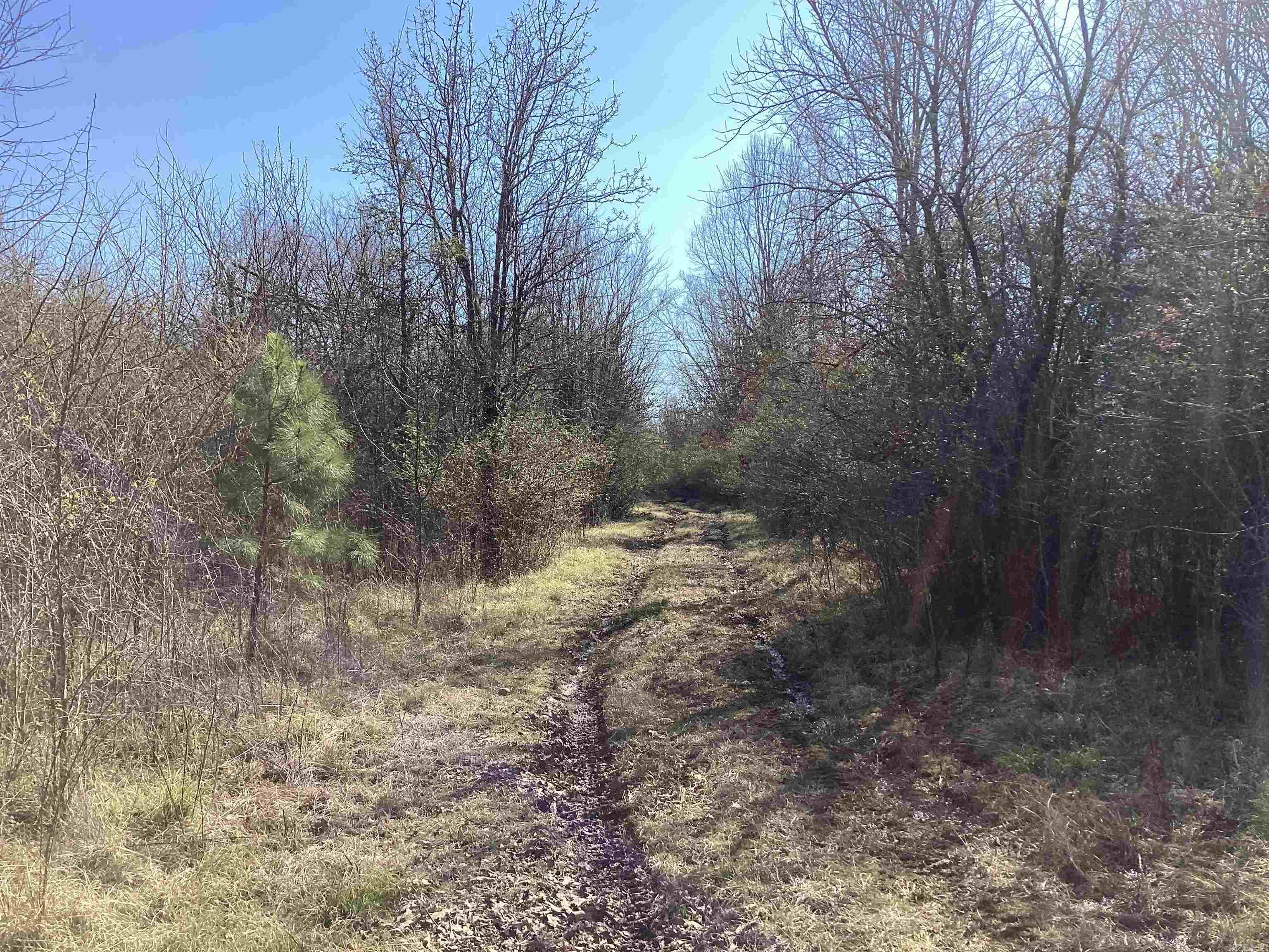   West Ave E.  Hope, AR