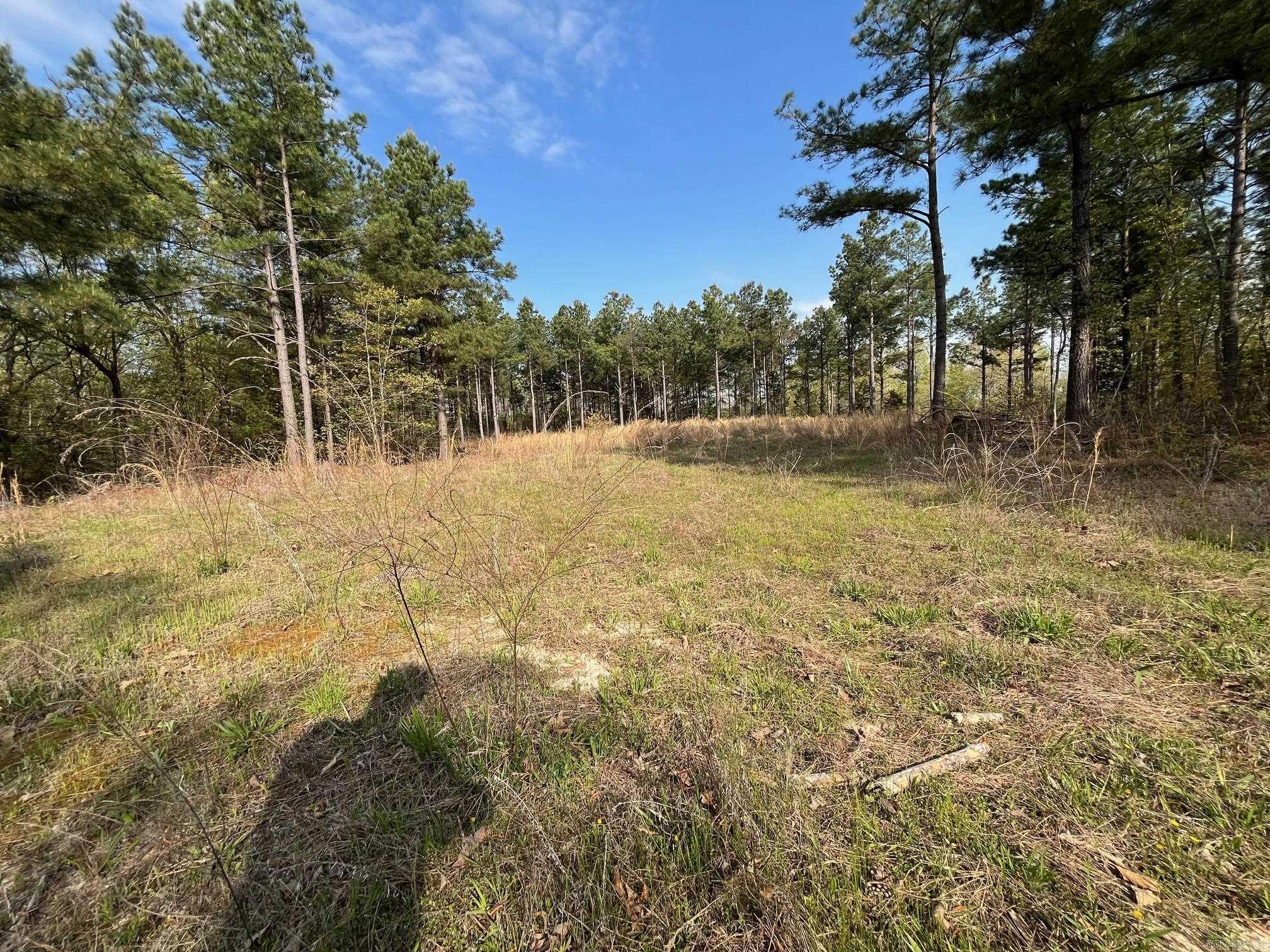000 E spring hill road  Oxford, AR