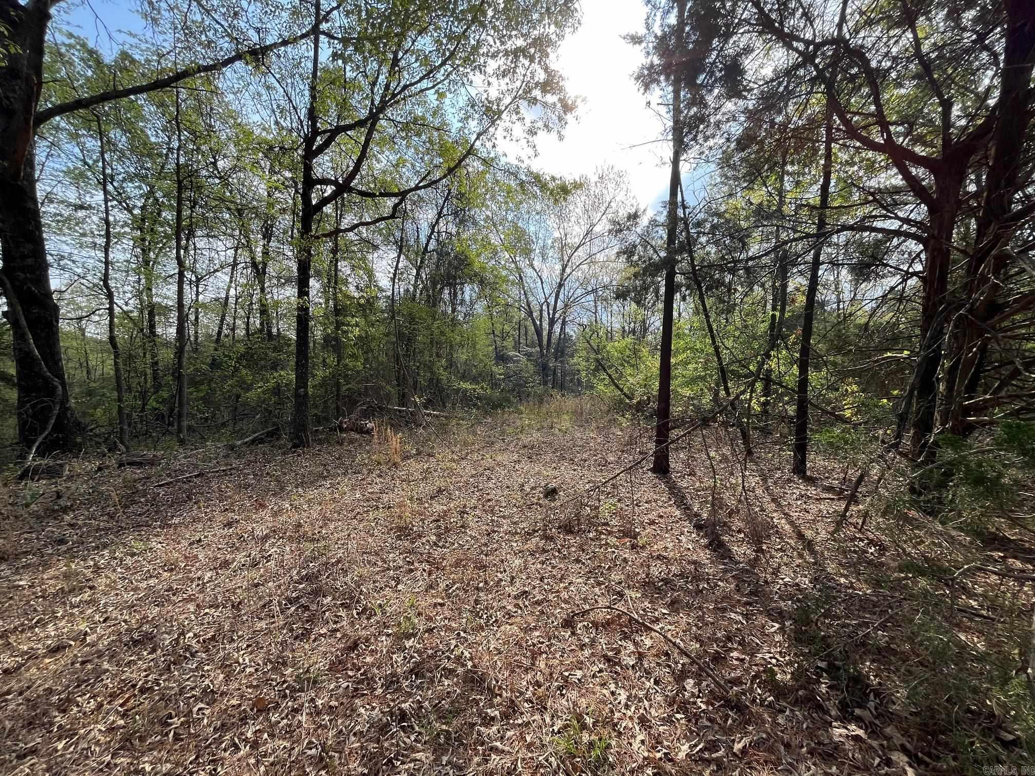 000 E spring hill road  Oxford, AR