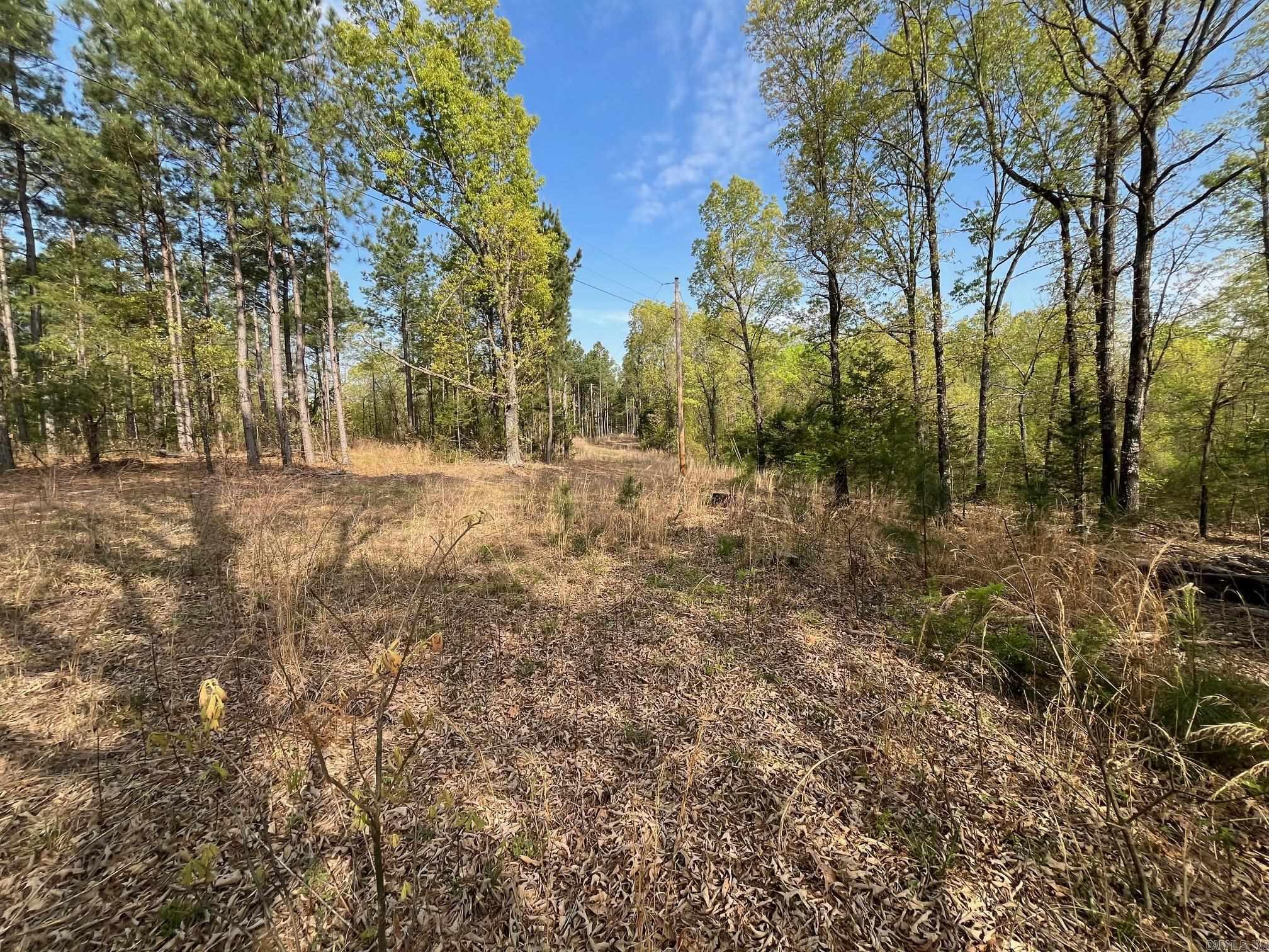000 E spring hill road  Oxford, AR
