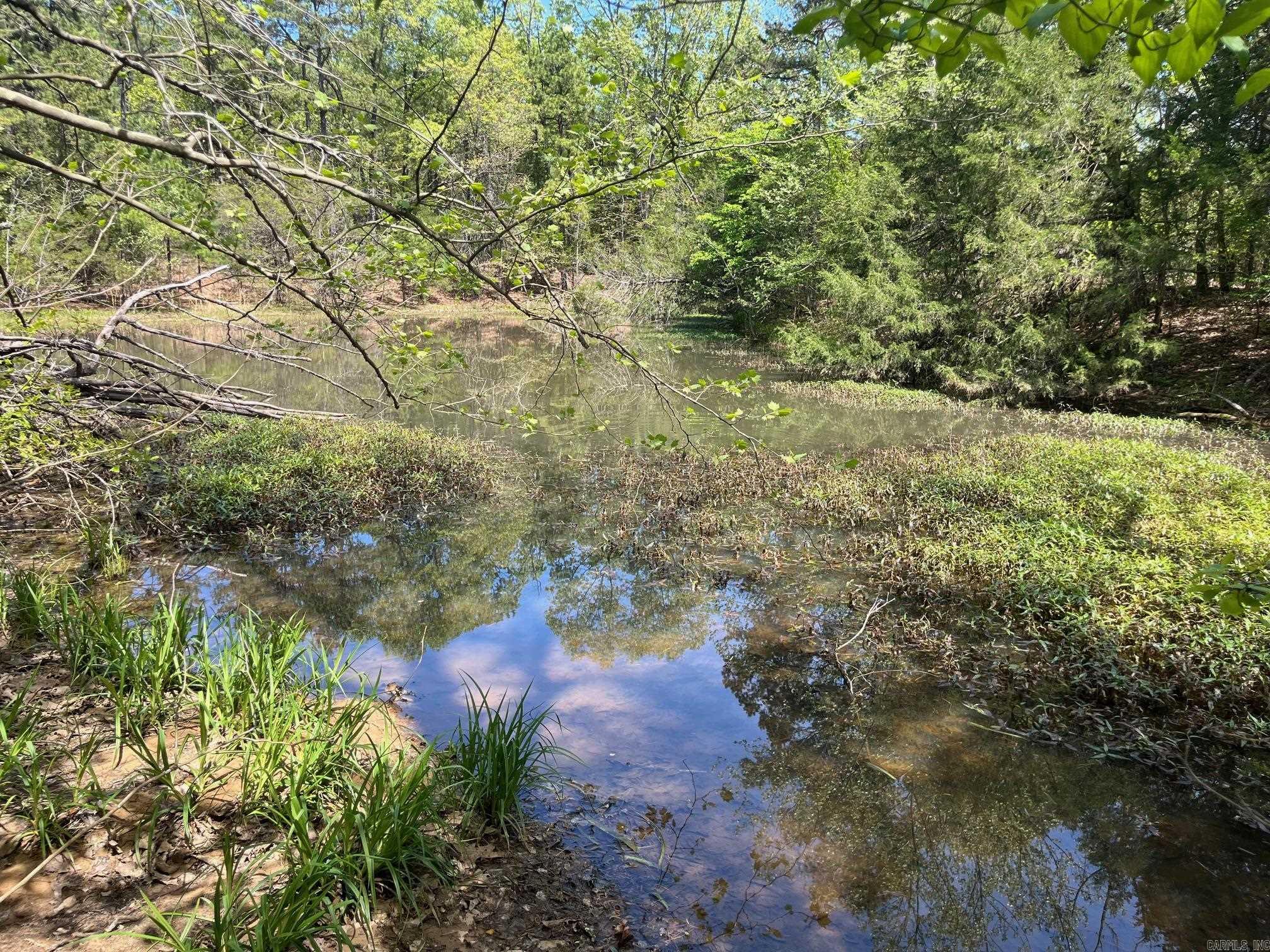 000 E spring hill road  Oxford, AR