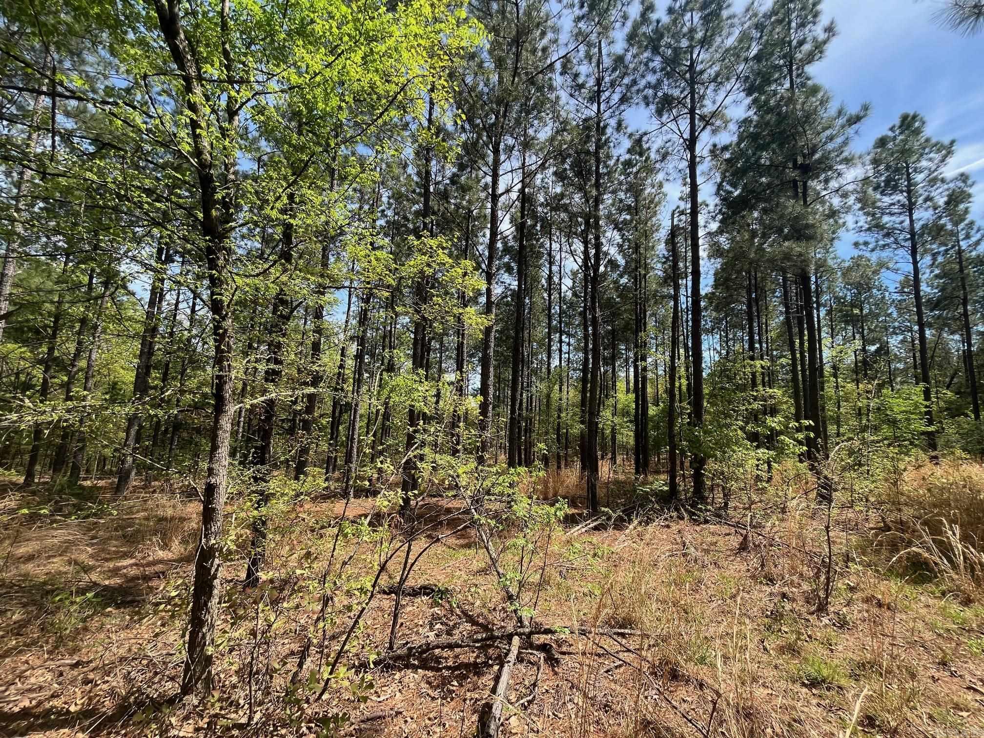 000 E spring hill road  Oxford, AR
