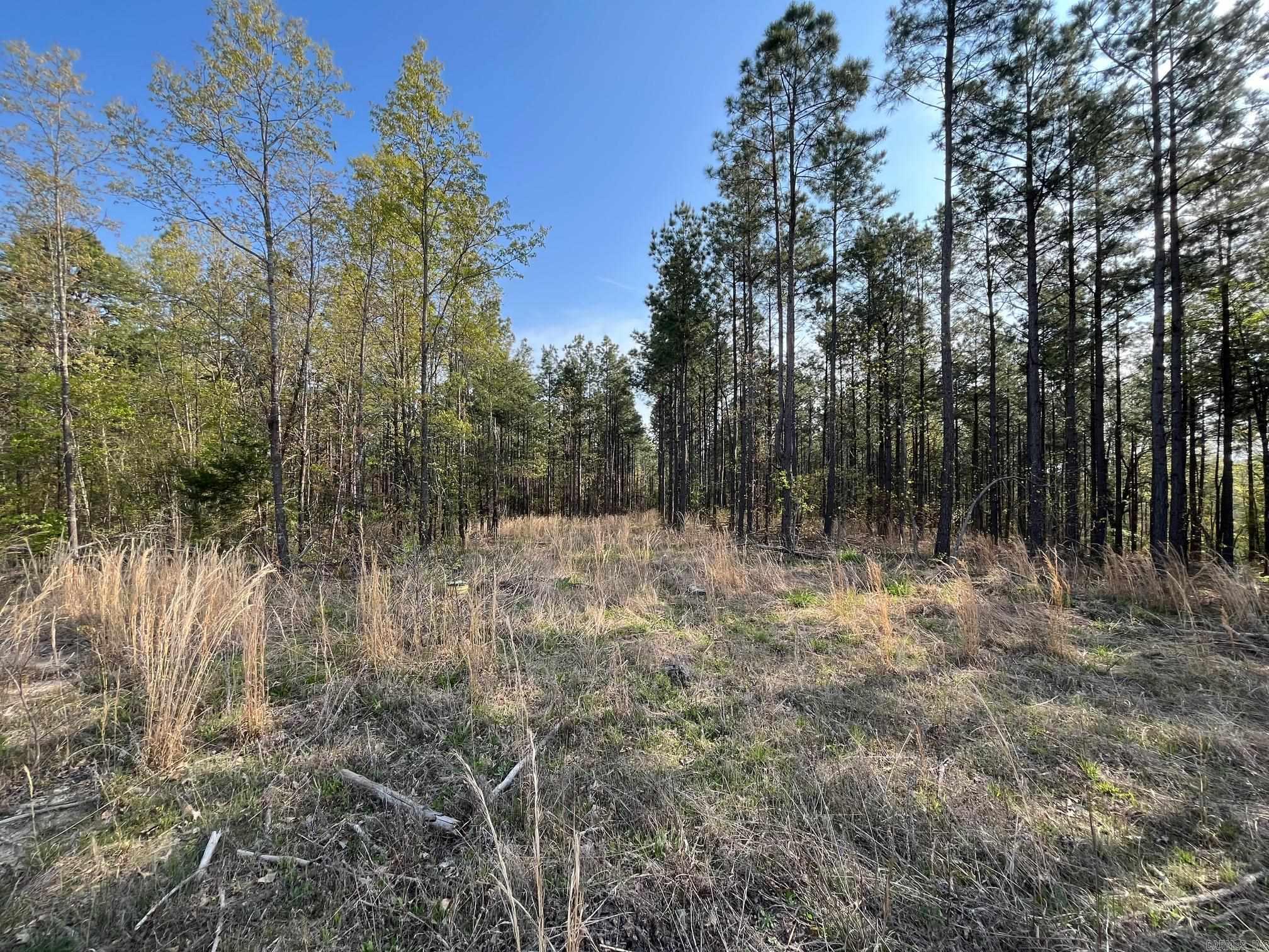 000 E spring hill road  Oxford, AR