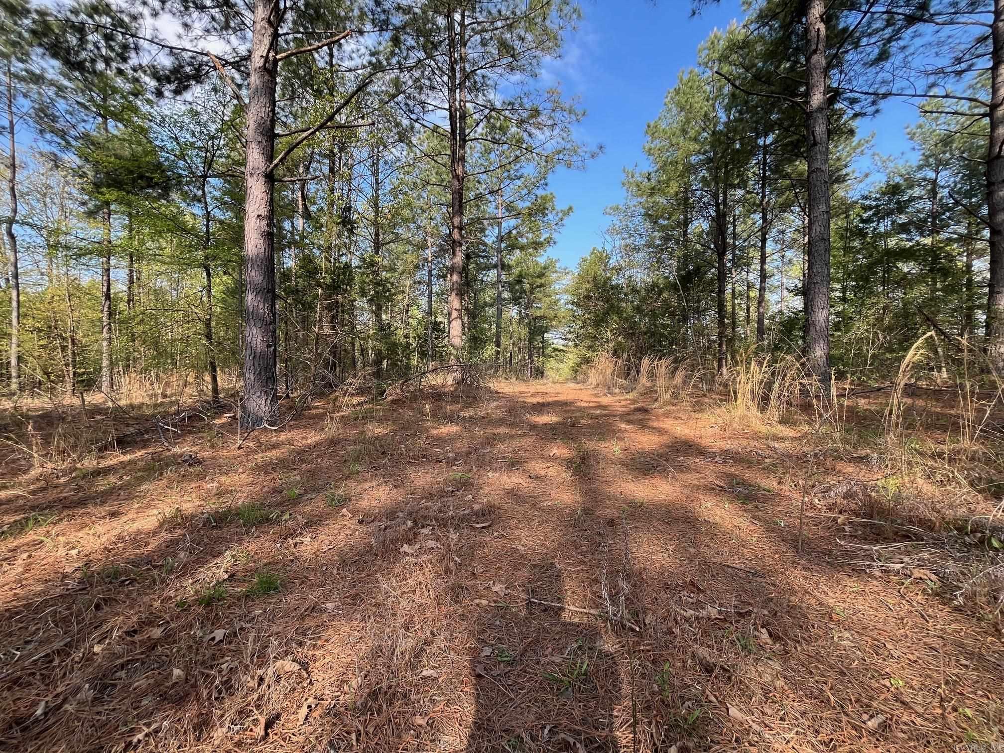 000 E spring hill road  Oxford, AR