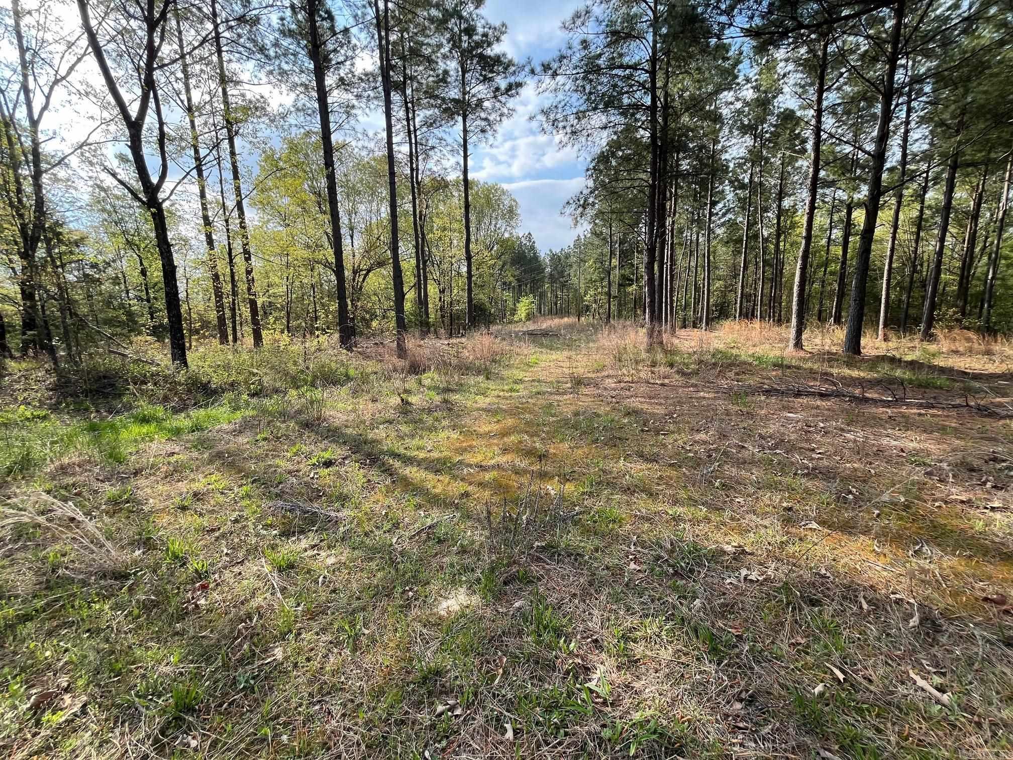 000 E spring hill road  Oxford, AR