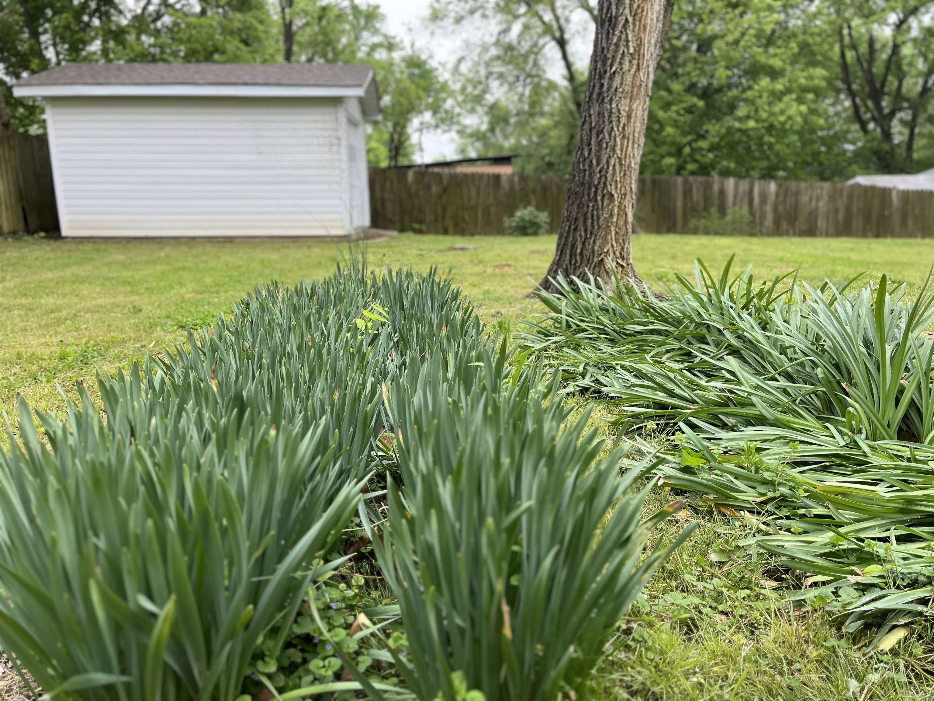 509 S 6th  Thayer, MO