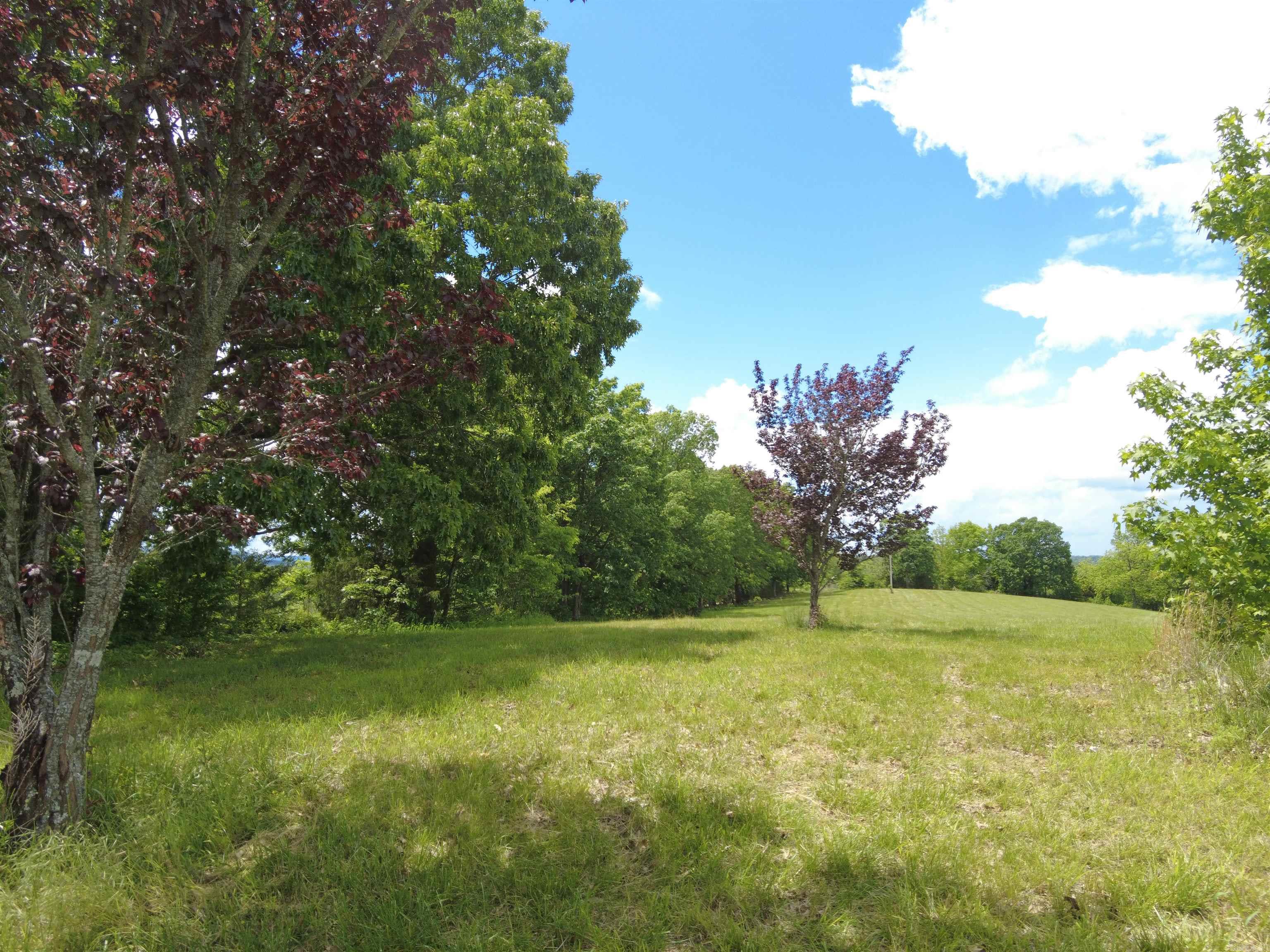 TBD  Holmes  Mountain View, AR