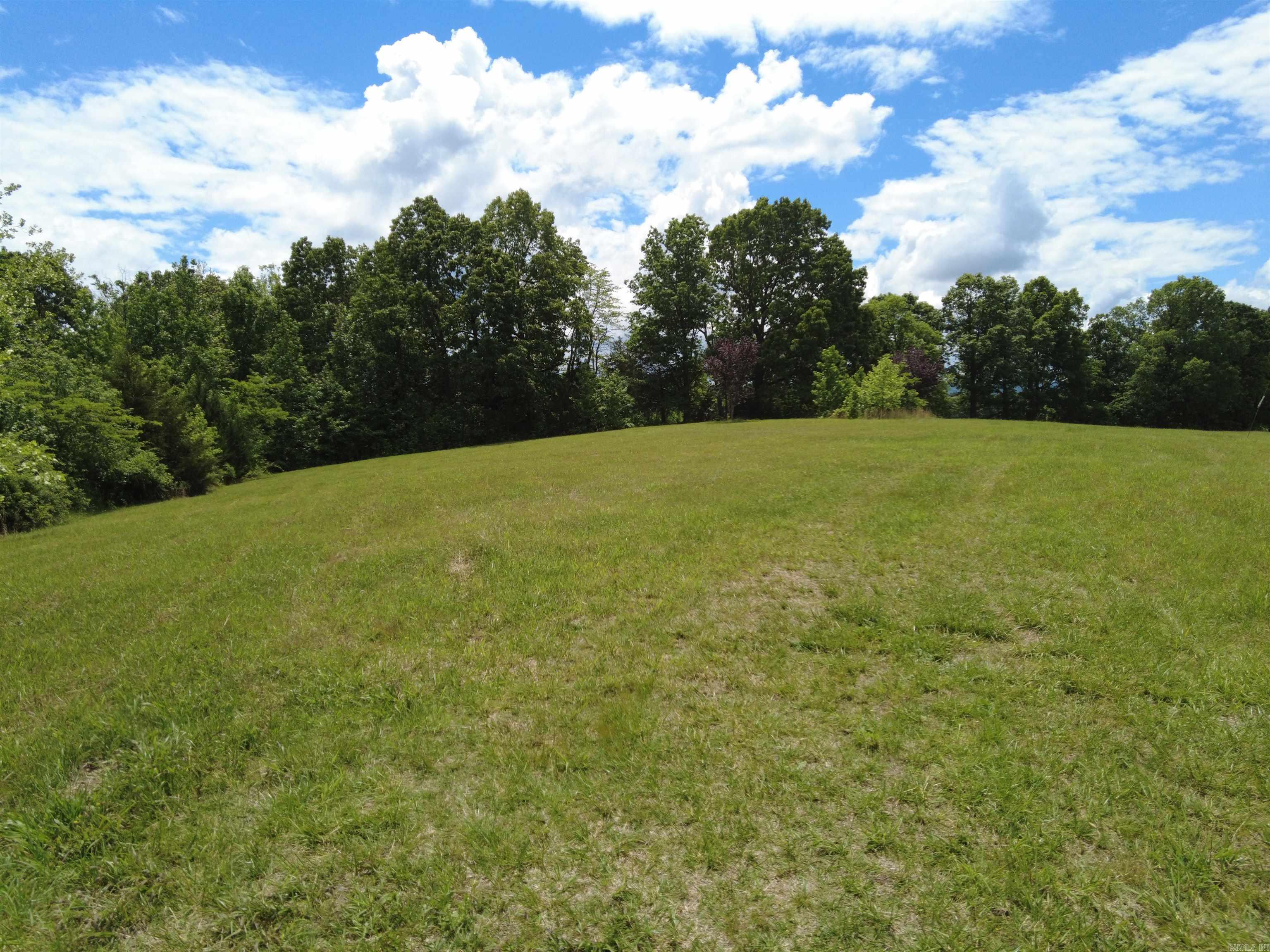 TBD  Holmes  Mountain View, AR