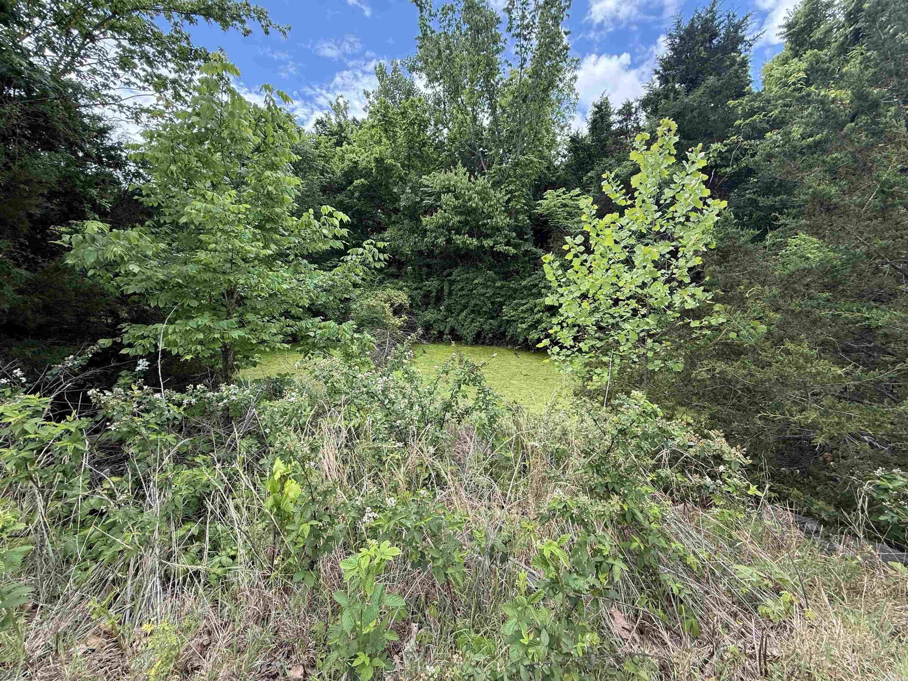 1366  Holmes  Mountain View, AR