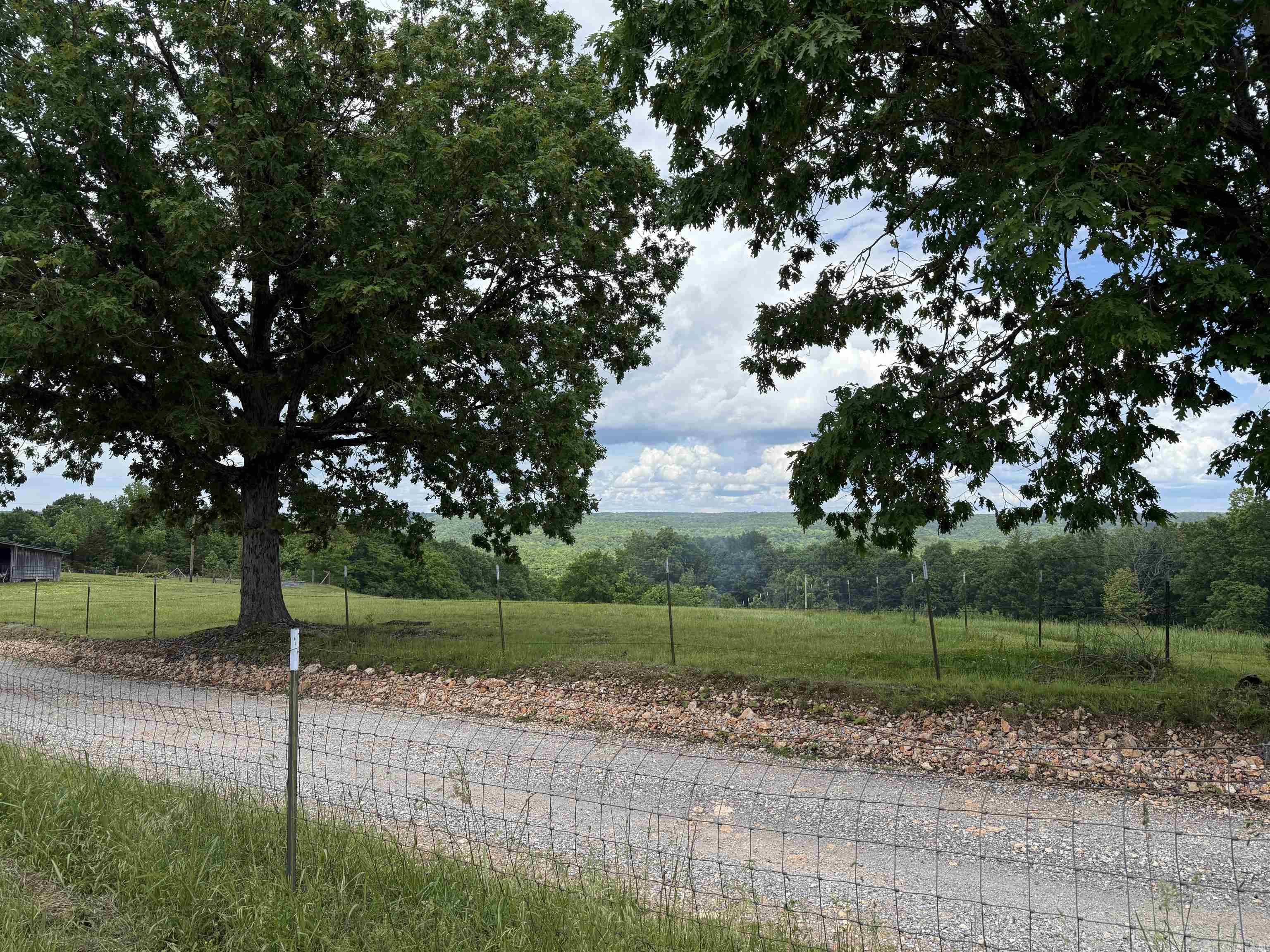 1366  Holmes  Mountain View, AR