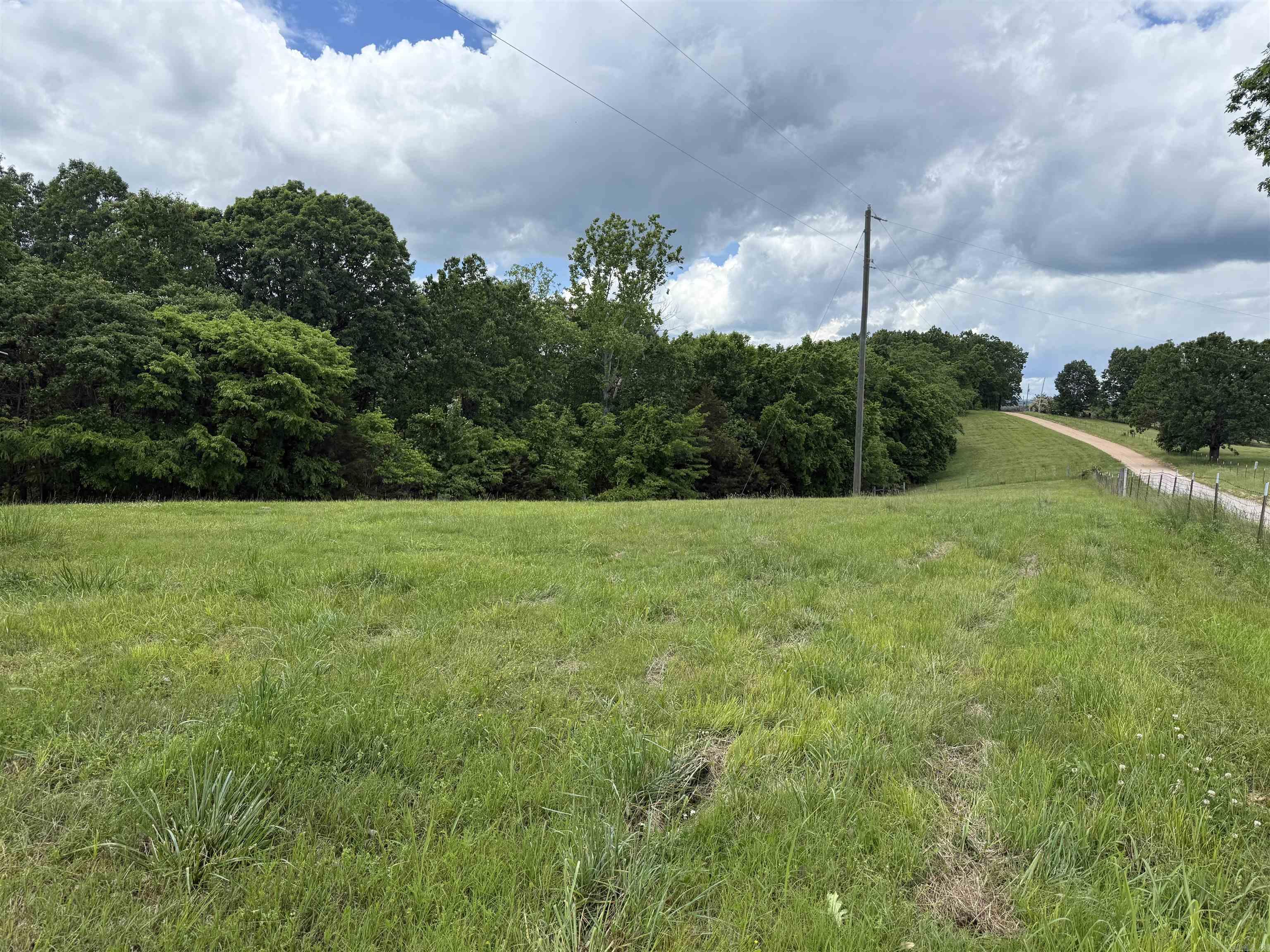 1366  Holmes  Mountain View, AR