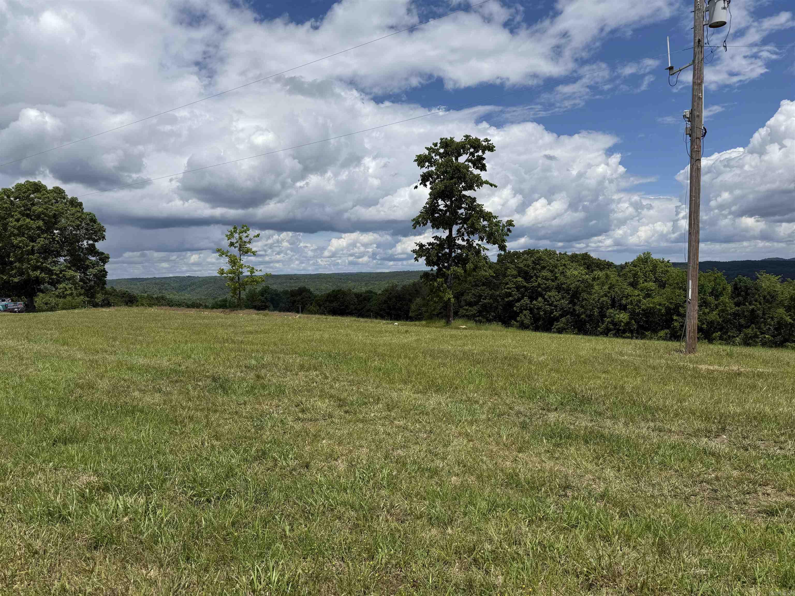 1366  Holmes  Mountain View, AR