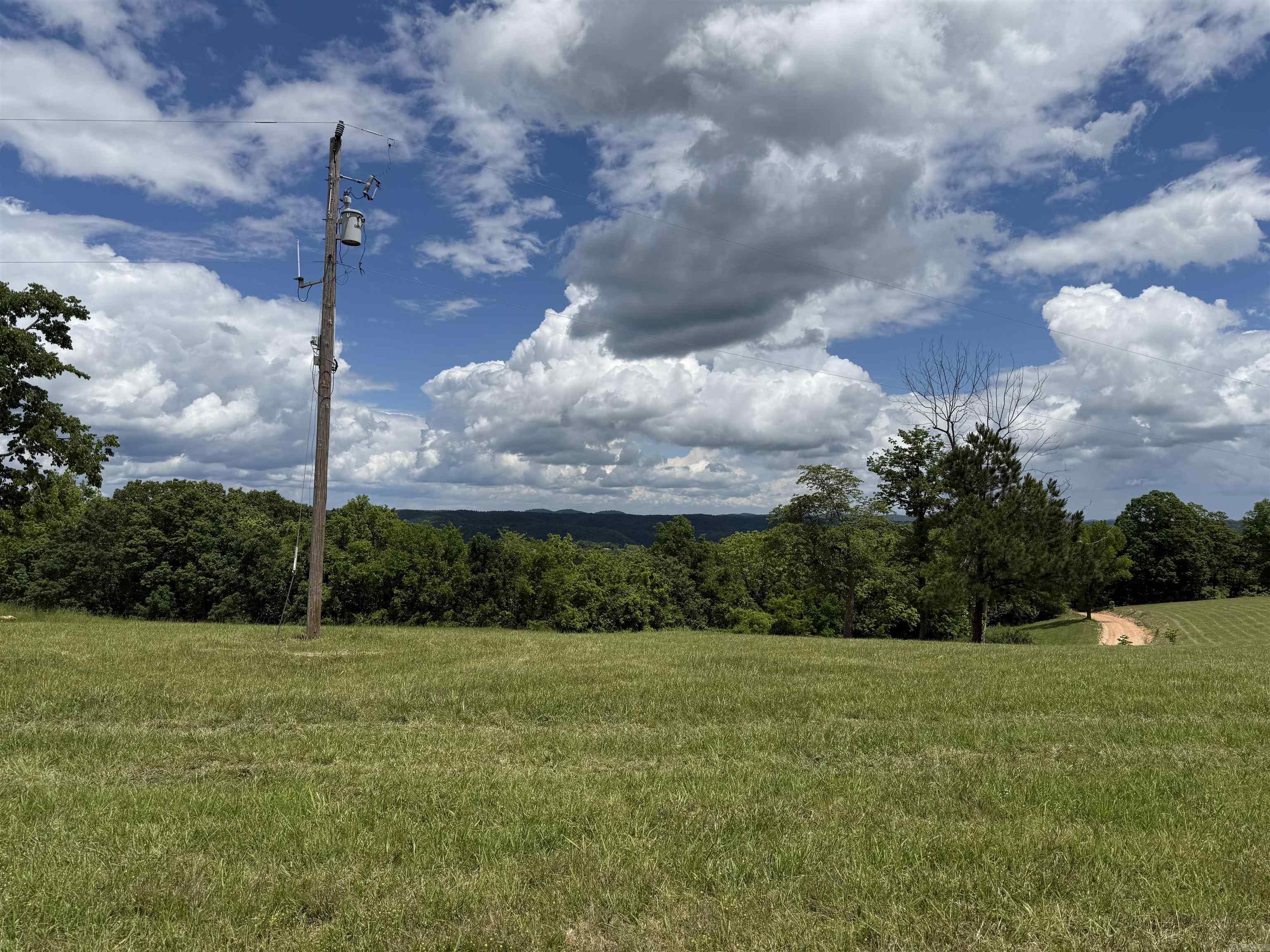 1366  Holmes  Mountain View, AR