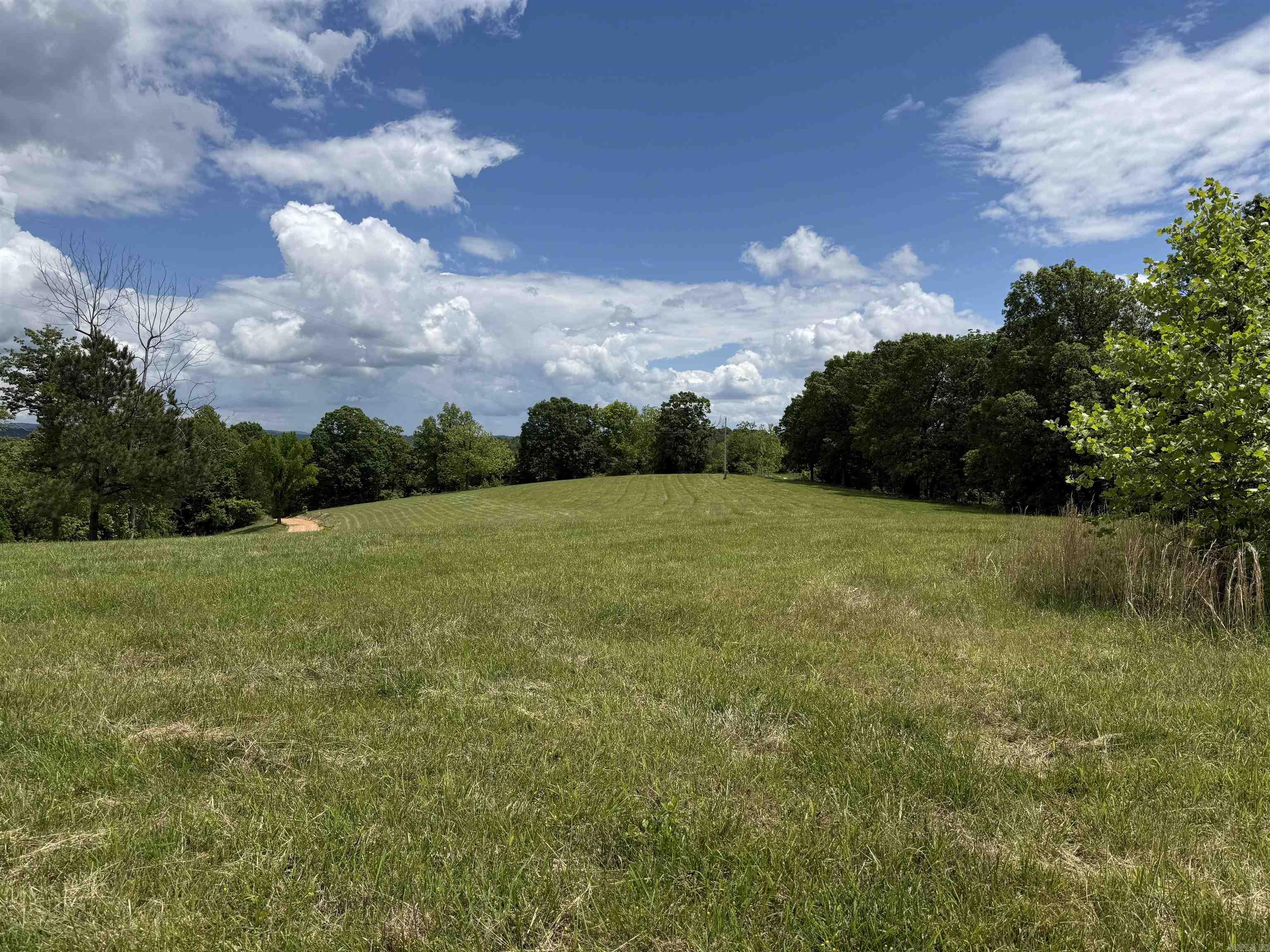 1366  Holmes  Mountain View, AR