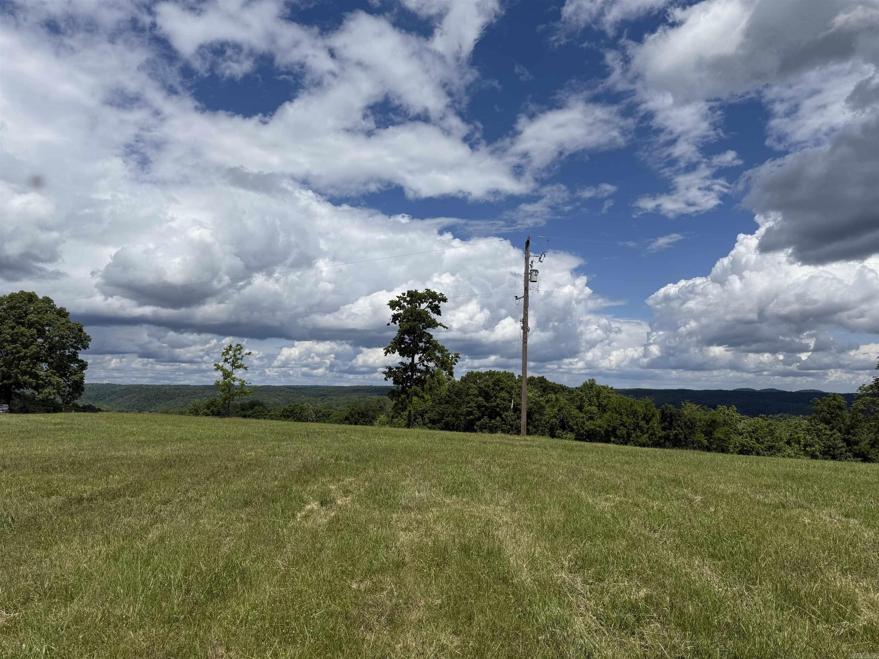 1366  Holmes  Mountain View, AR
