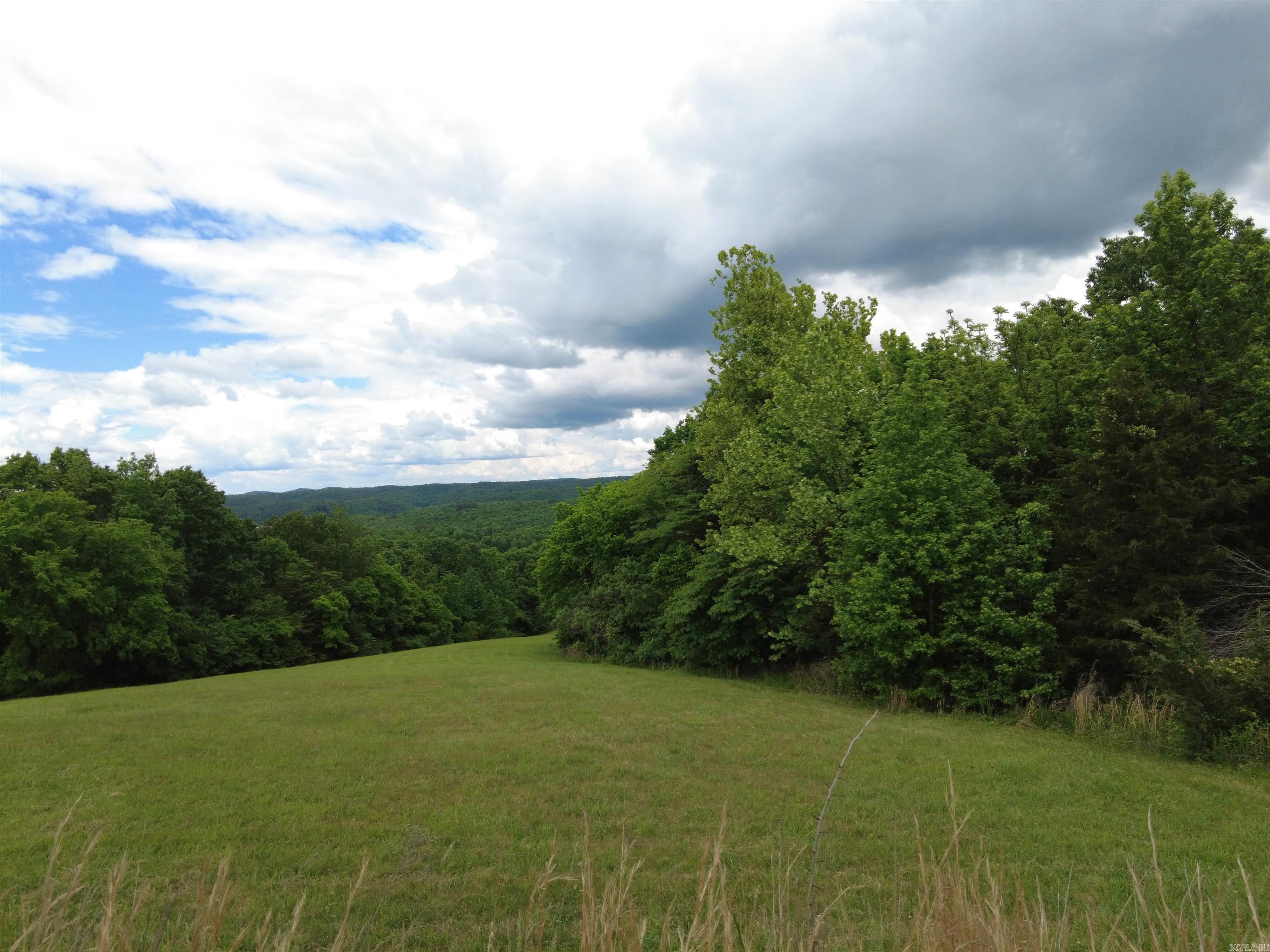 1366  Holmes  Mountain View, AR