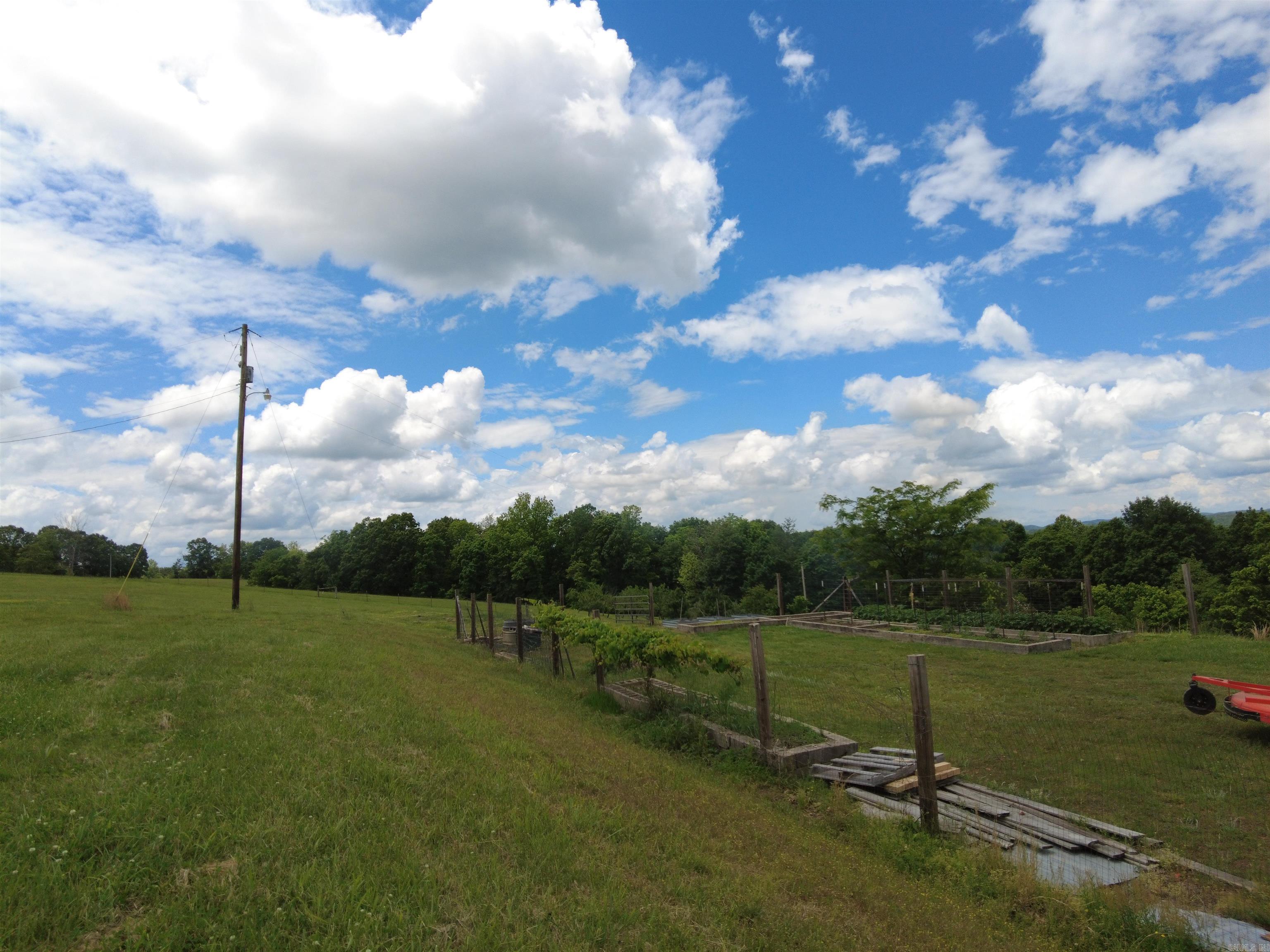 1366  Holmes  Mountain View, AR