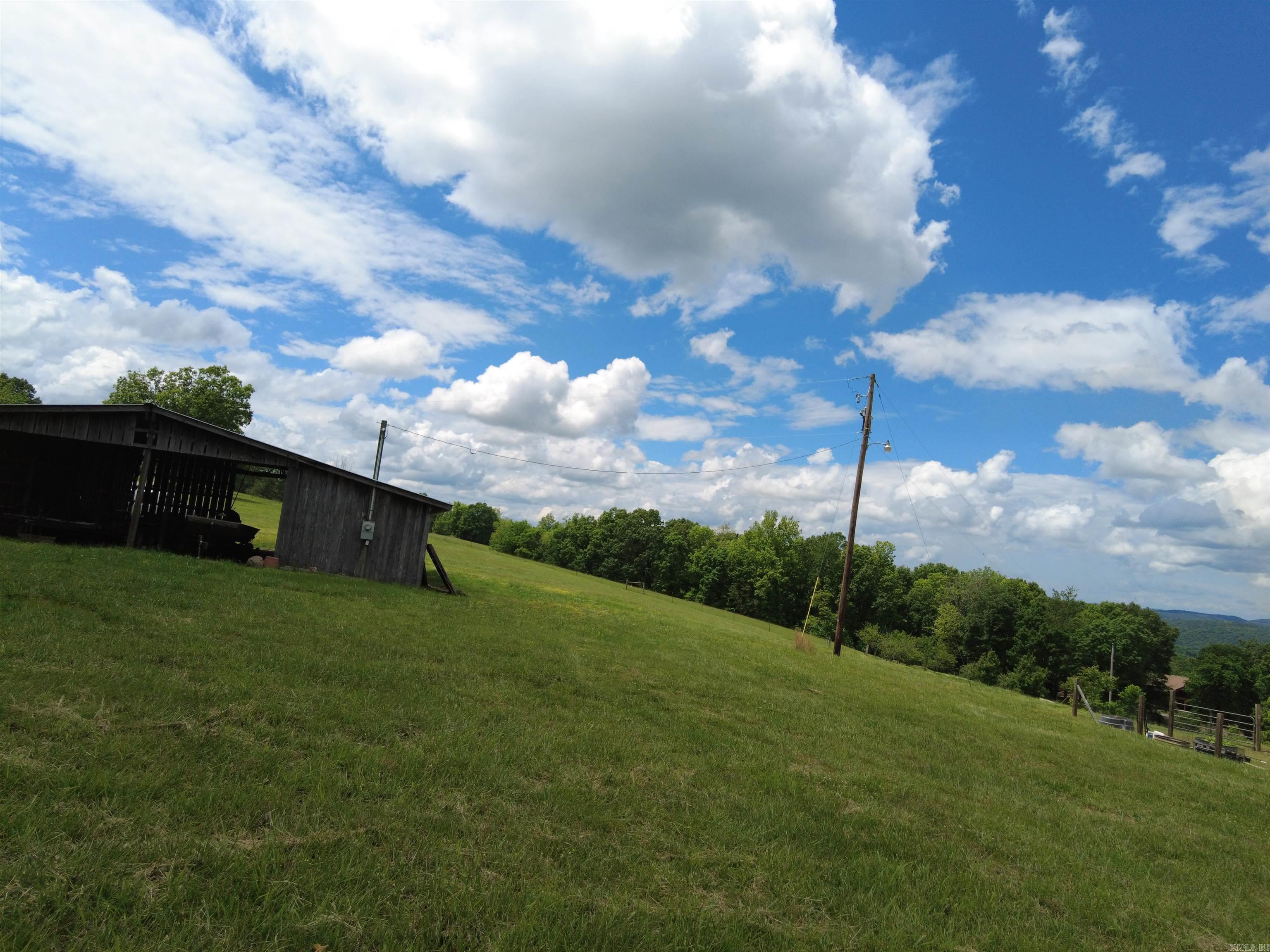 1366  Holmes  Mountain View, AR