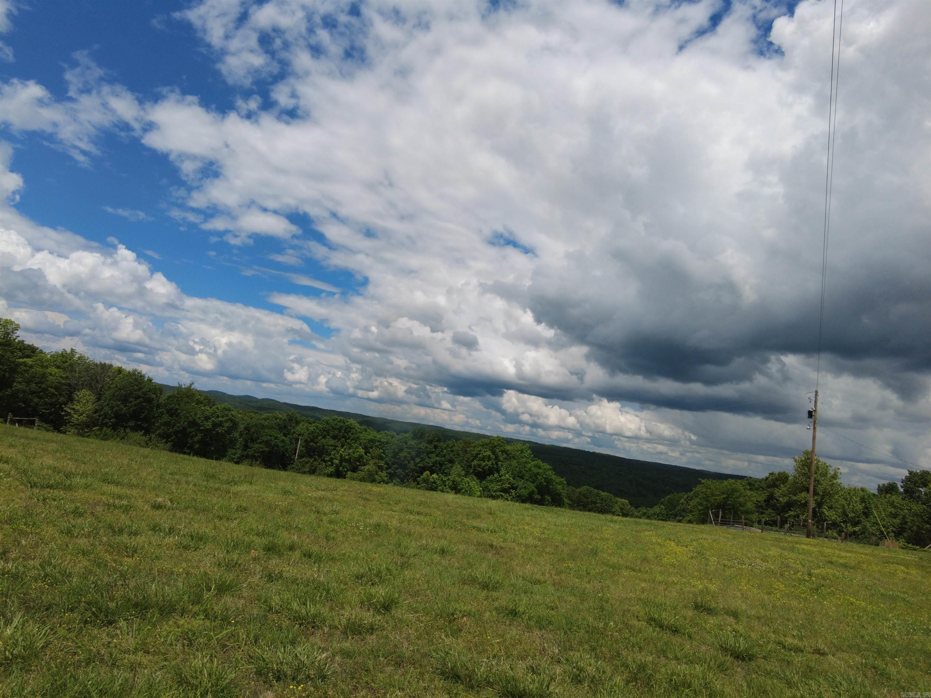 1366  Holmes  Mountain View, AR