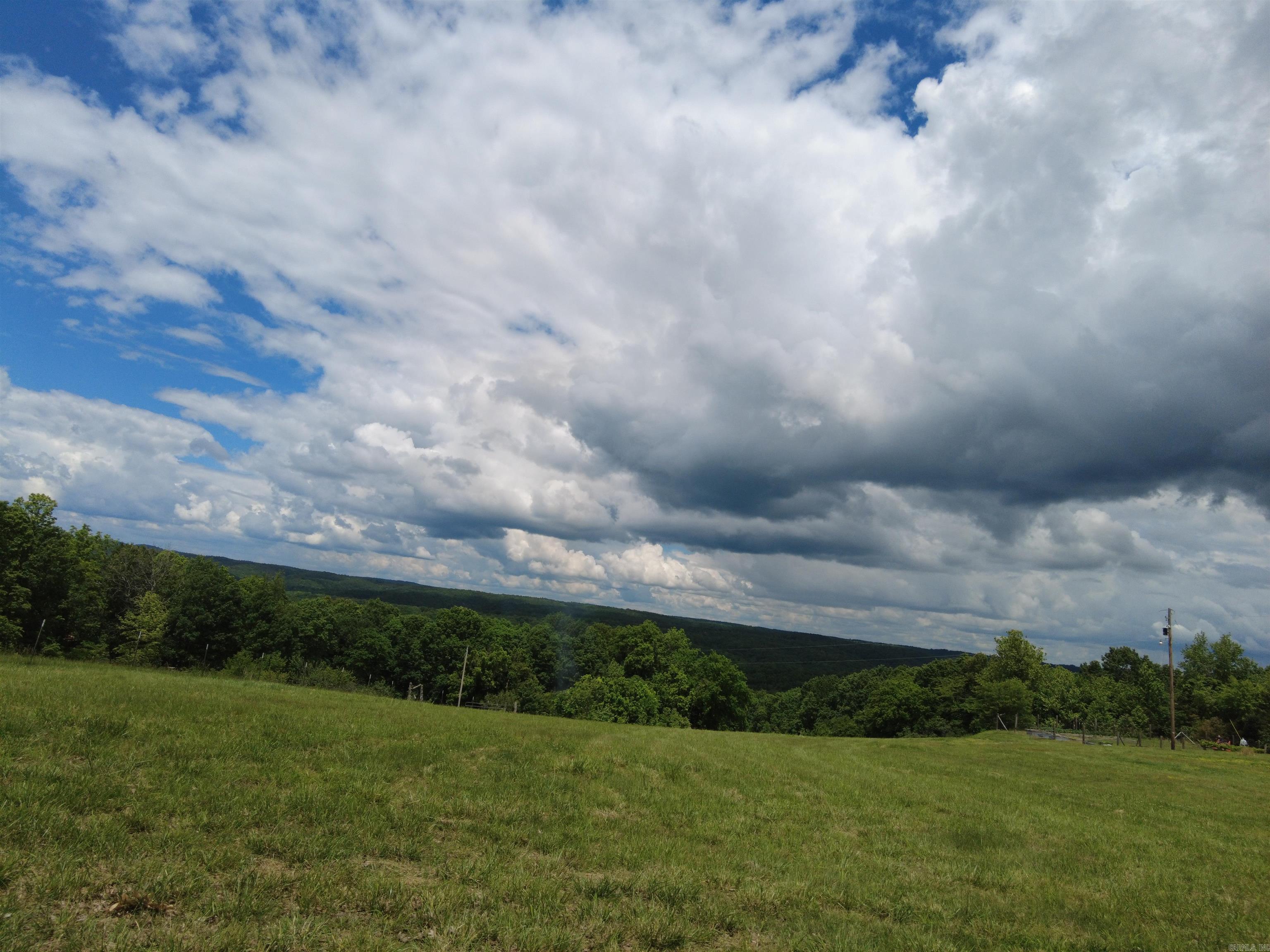 1366  Holmes  Mountain View, AR