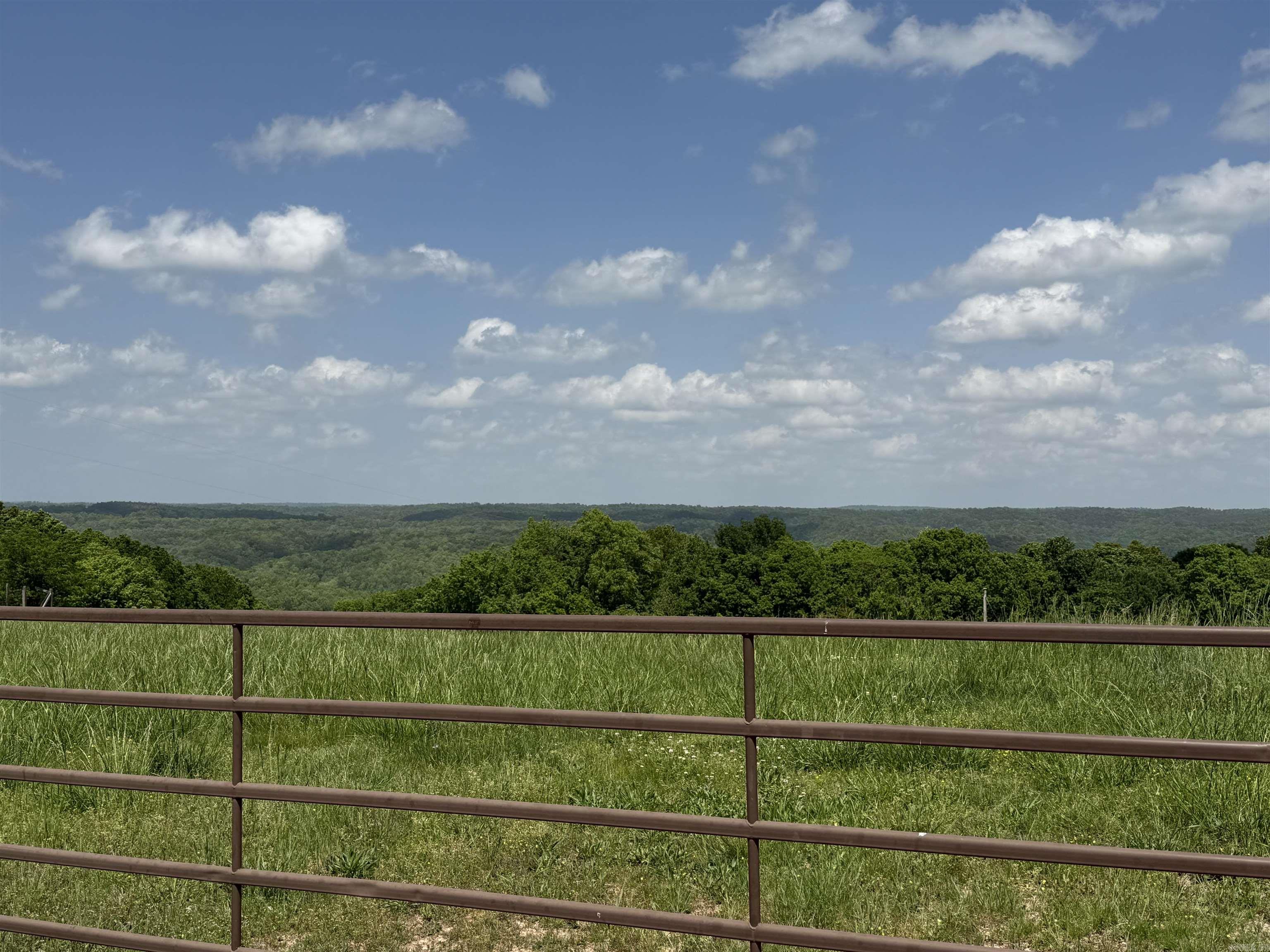 1366  Holmes  Mountain View, AR