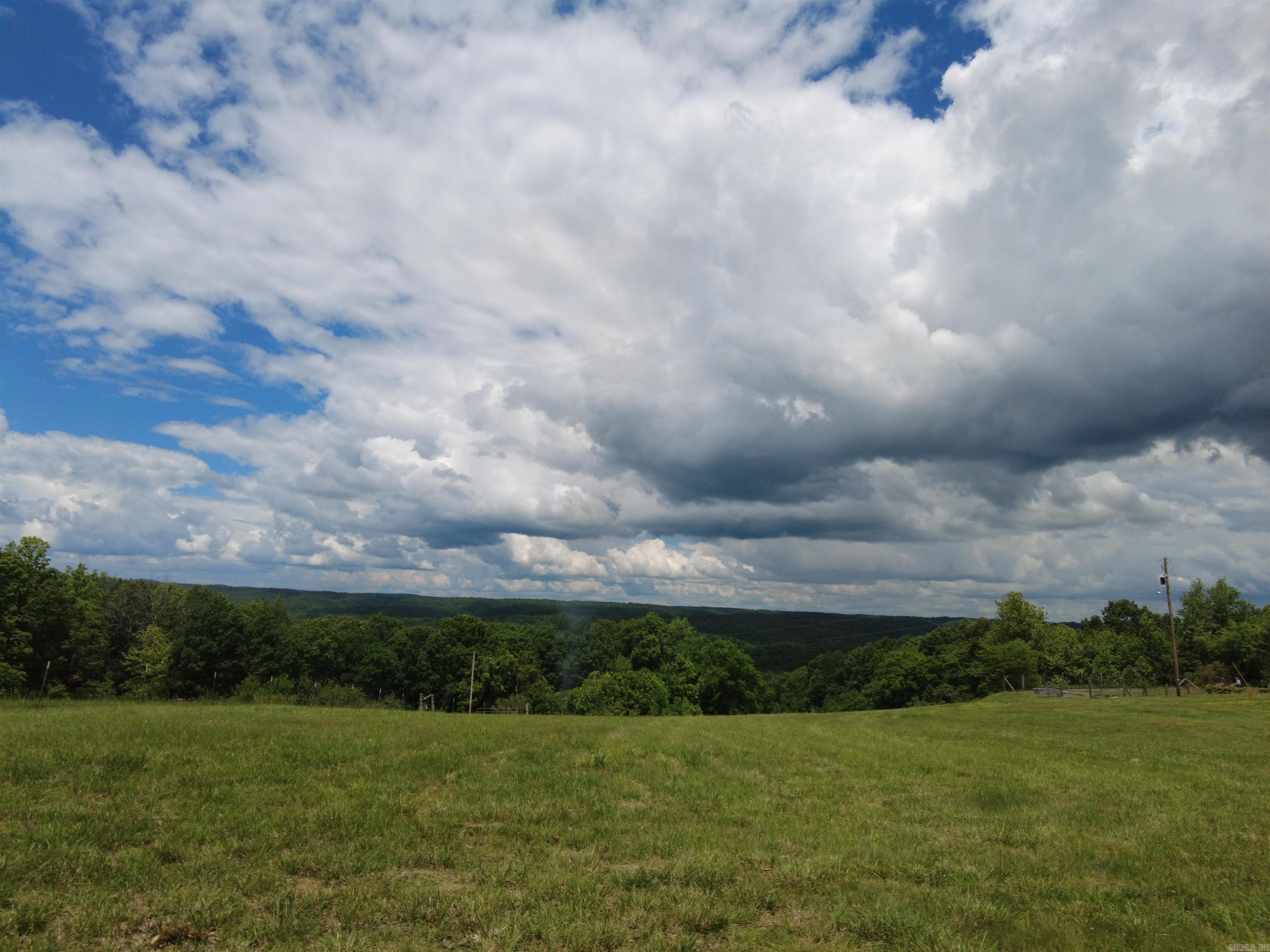 1366  Holmes  Mountain View, AR