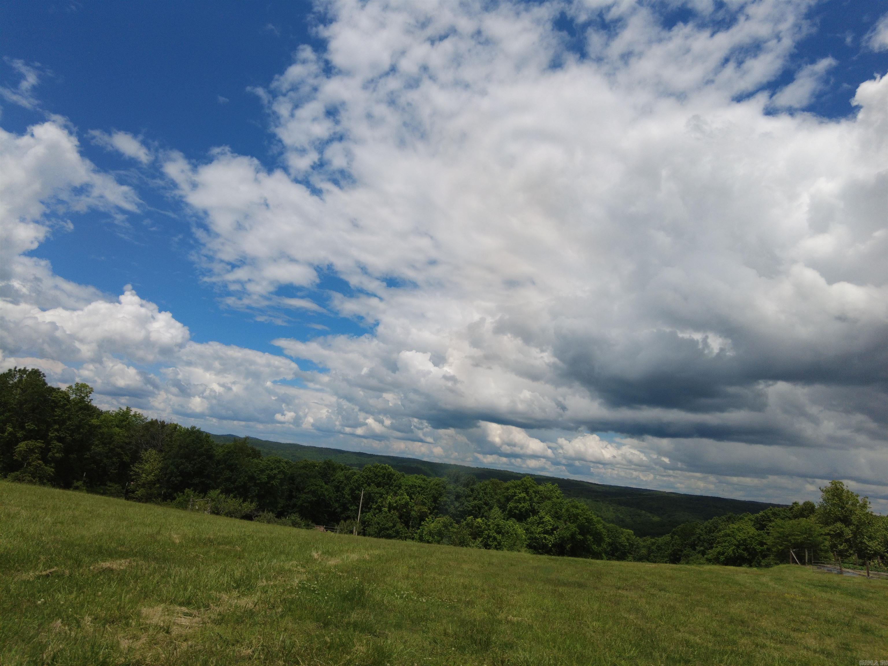 1366  Holmes  Mountain View, AR
