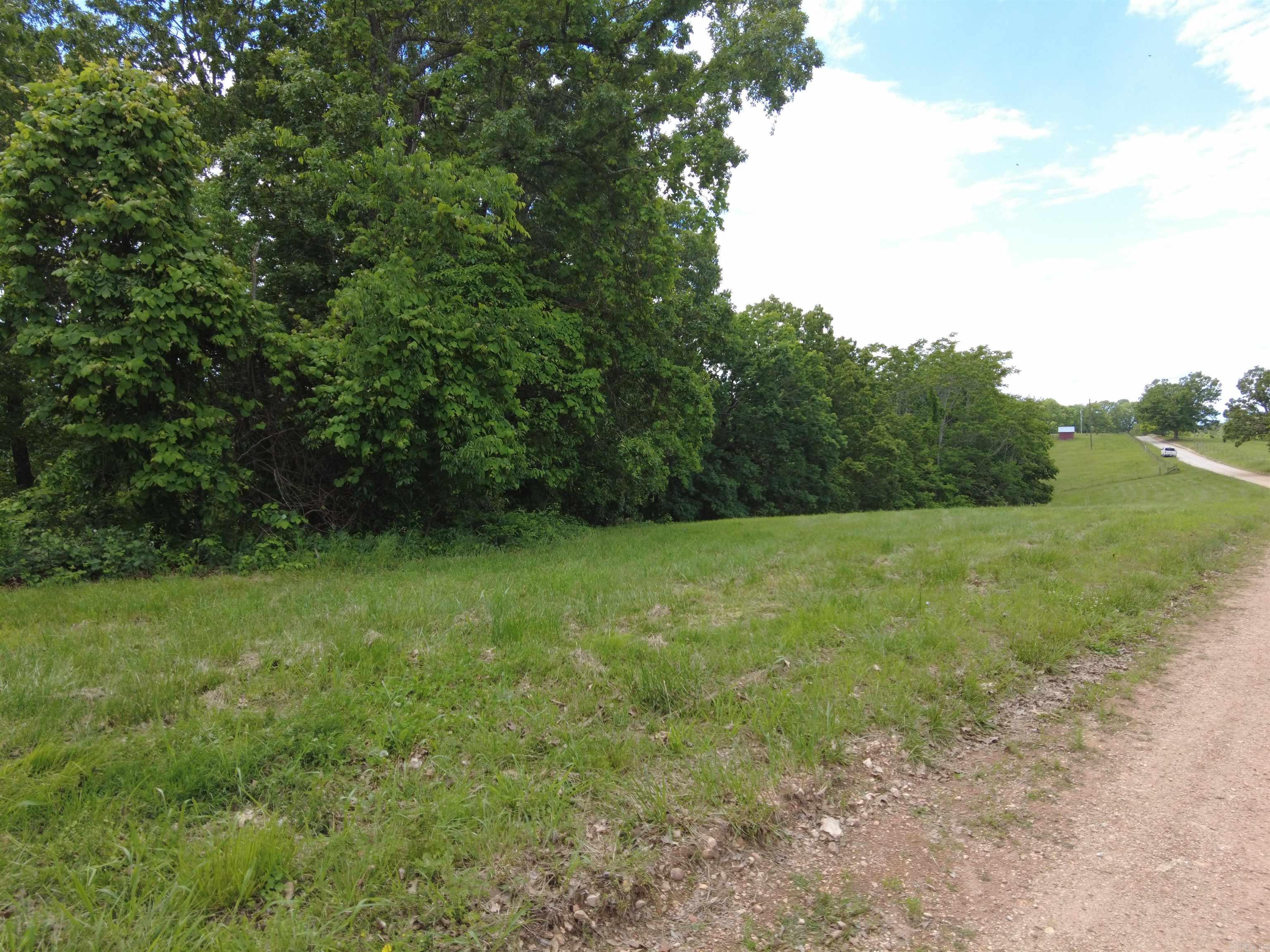 1366  Holmes  Mountain View, AR