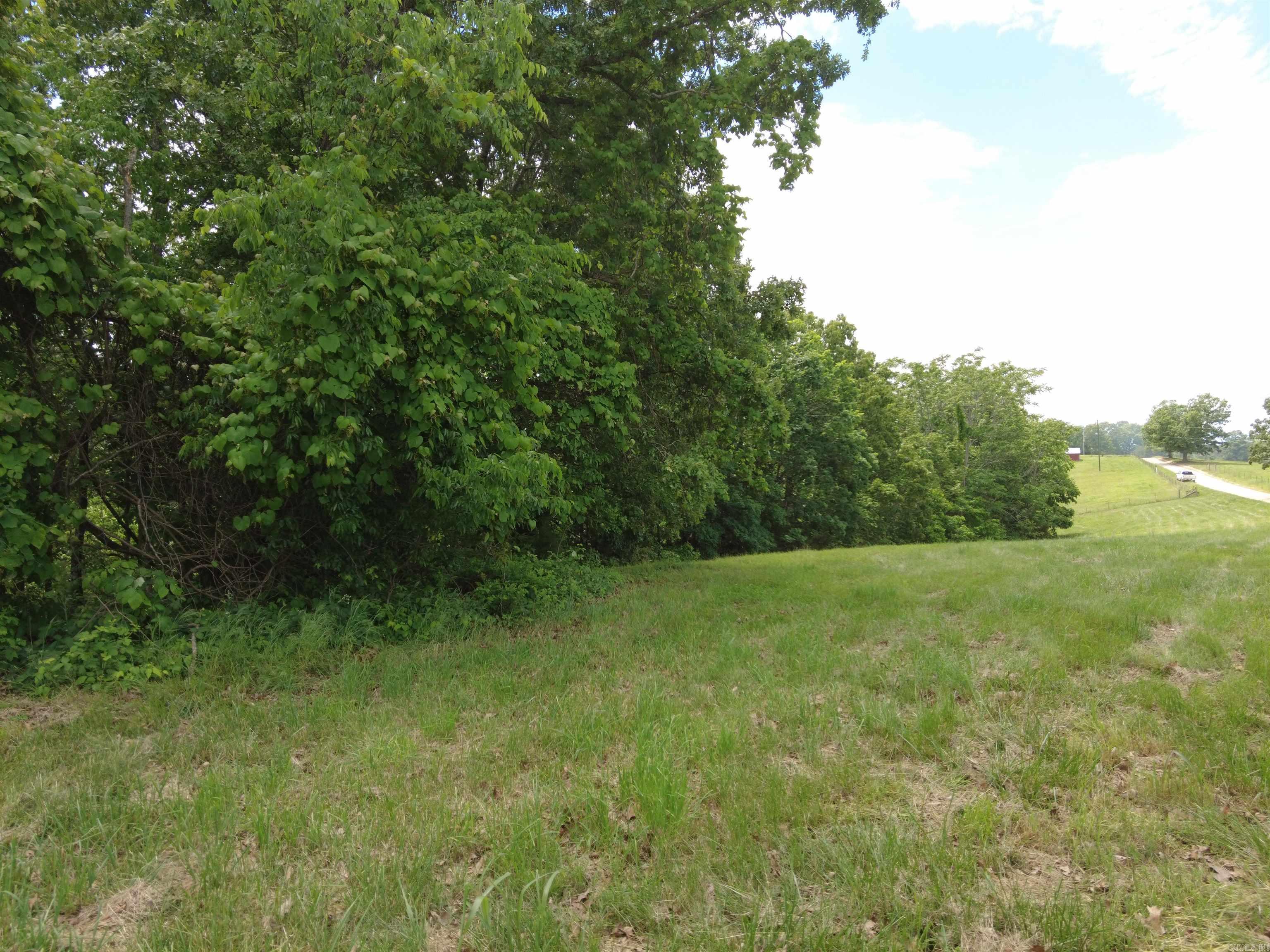 1366  Holmes  Mountain View, AR